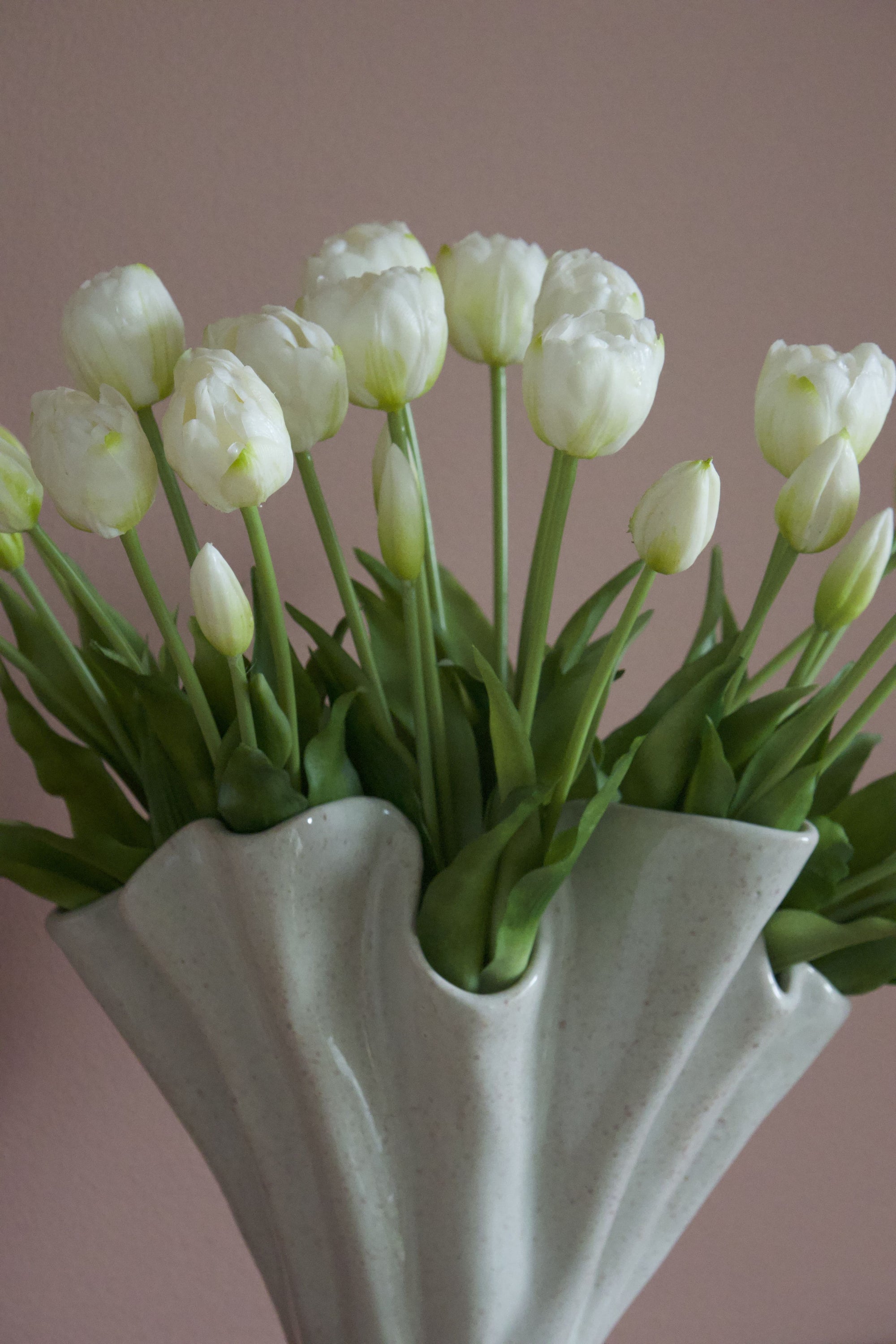 Double Tulip Lover