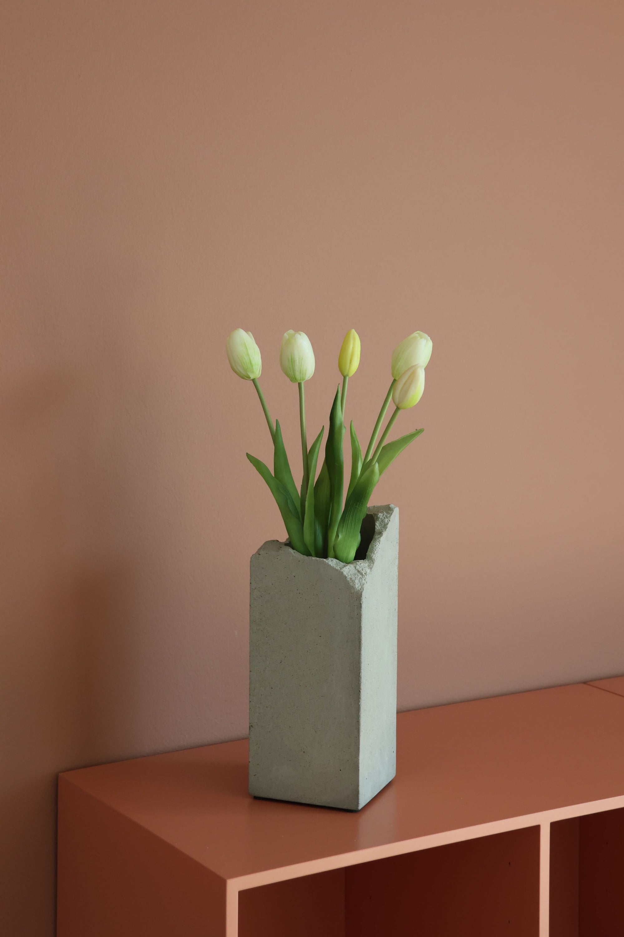 Tulipaner Hvid