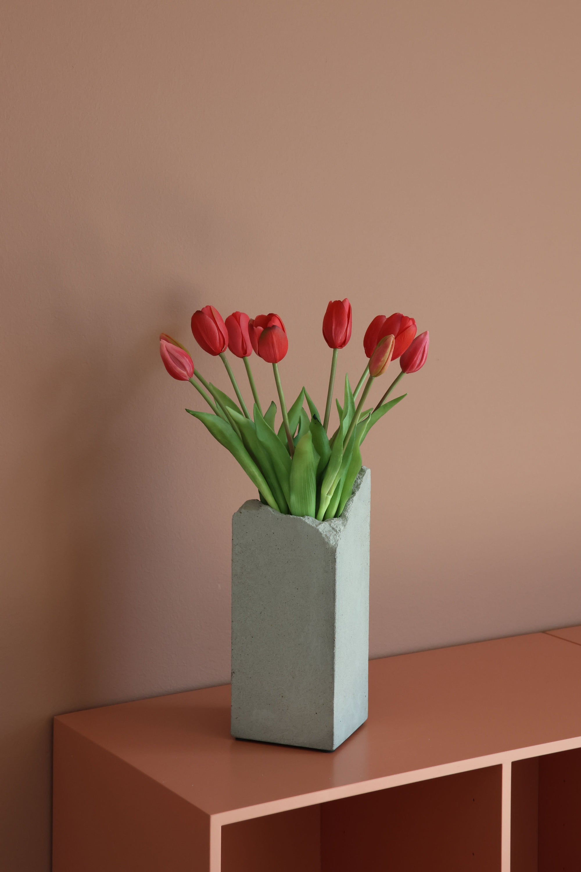 Tulipaner Pink
