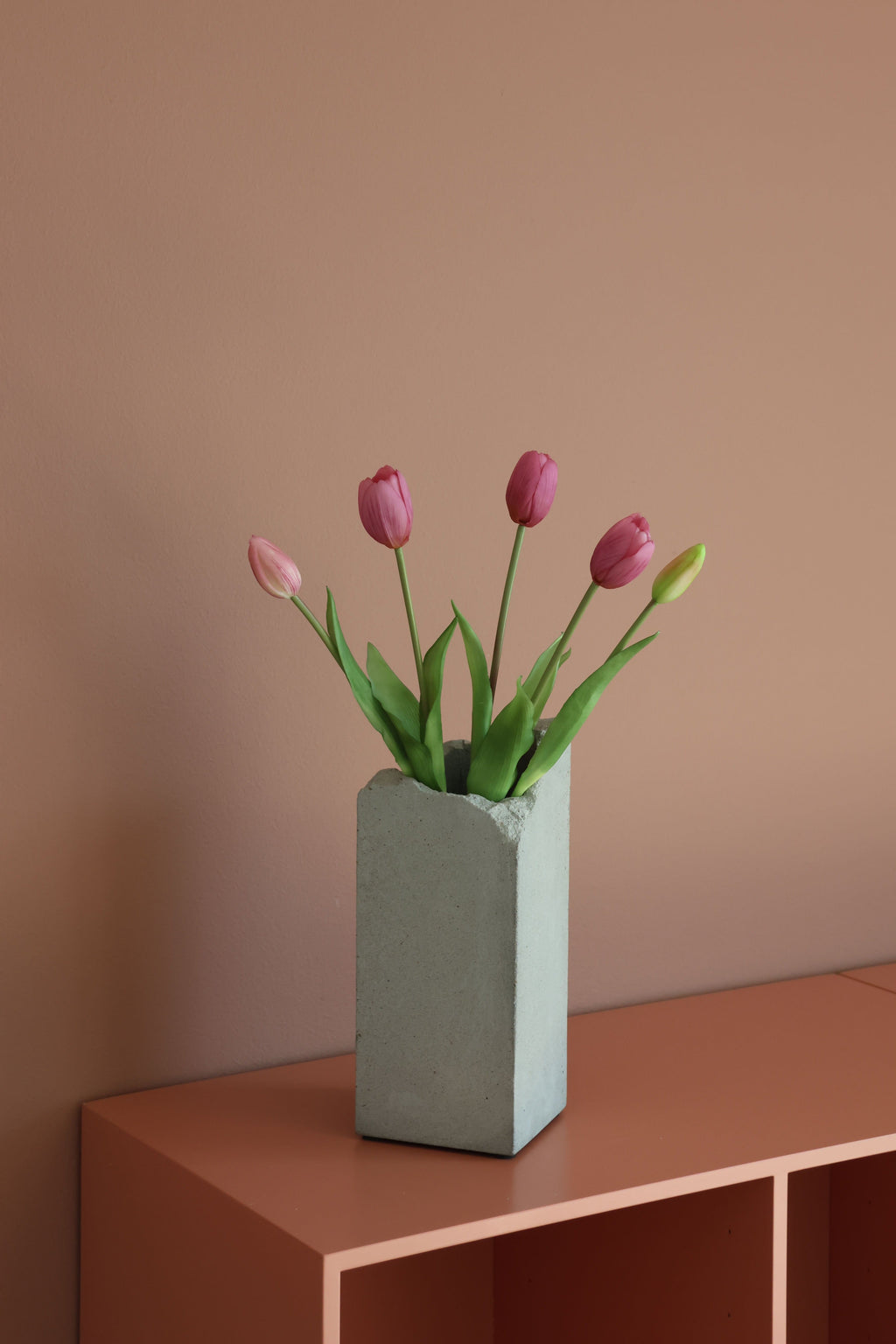 Tulipaner Rosa