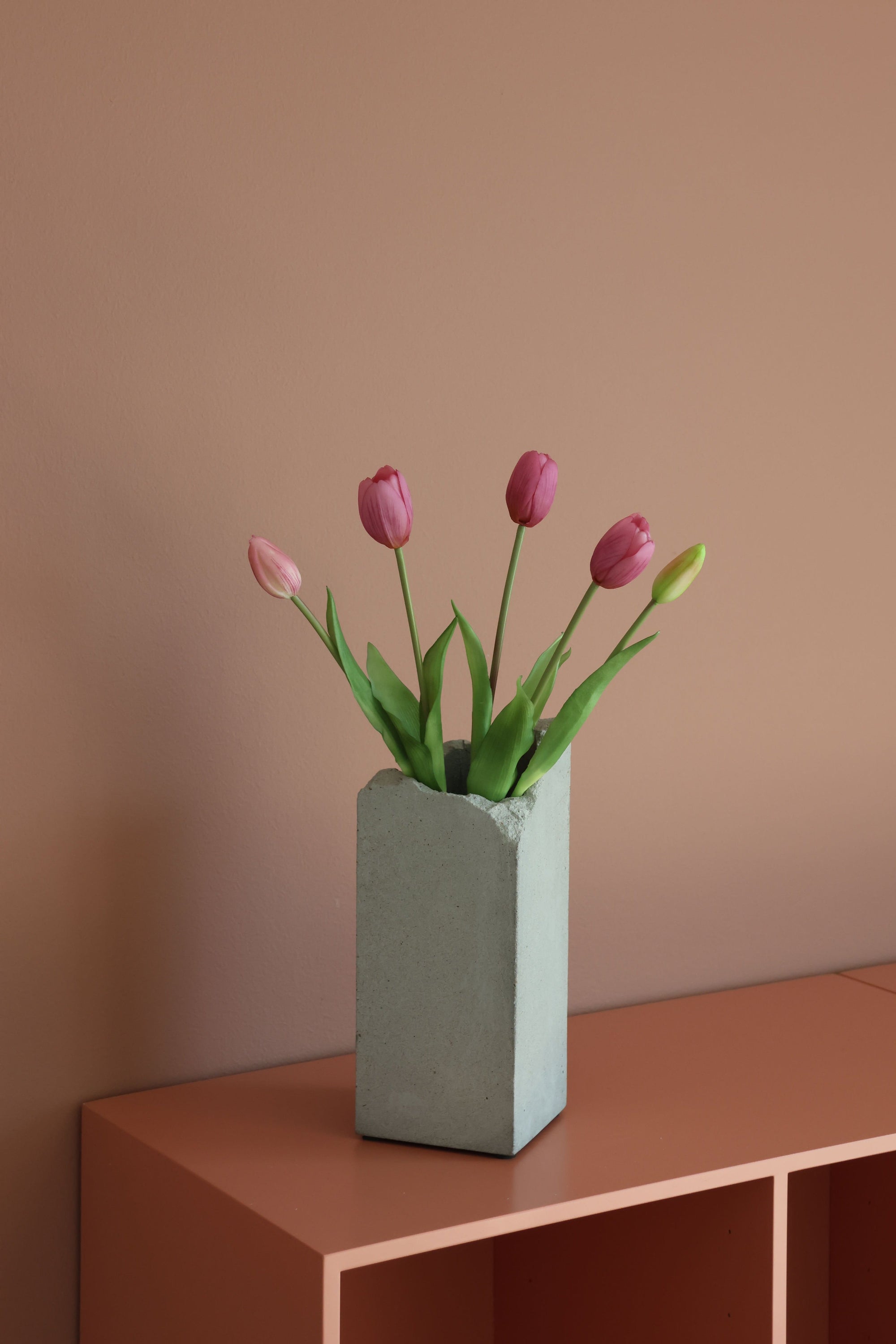 Tulipaner Rosa