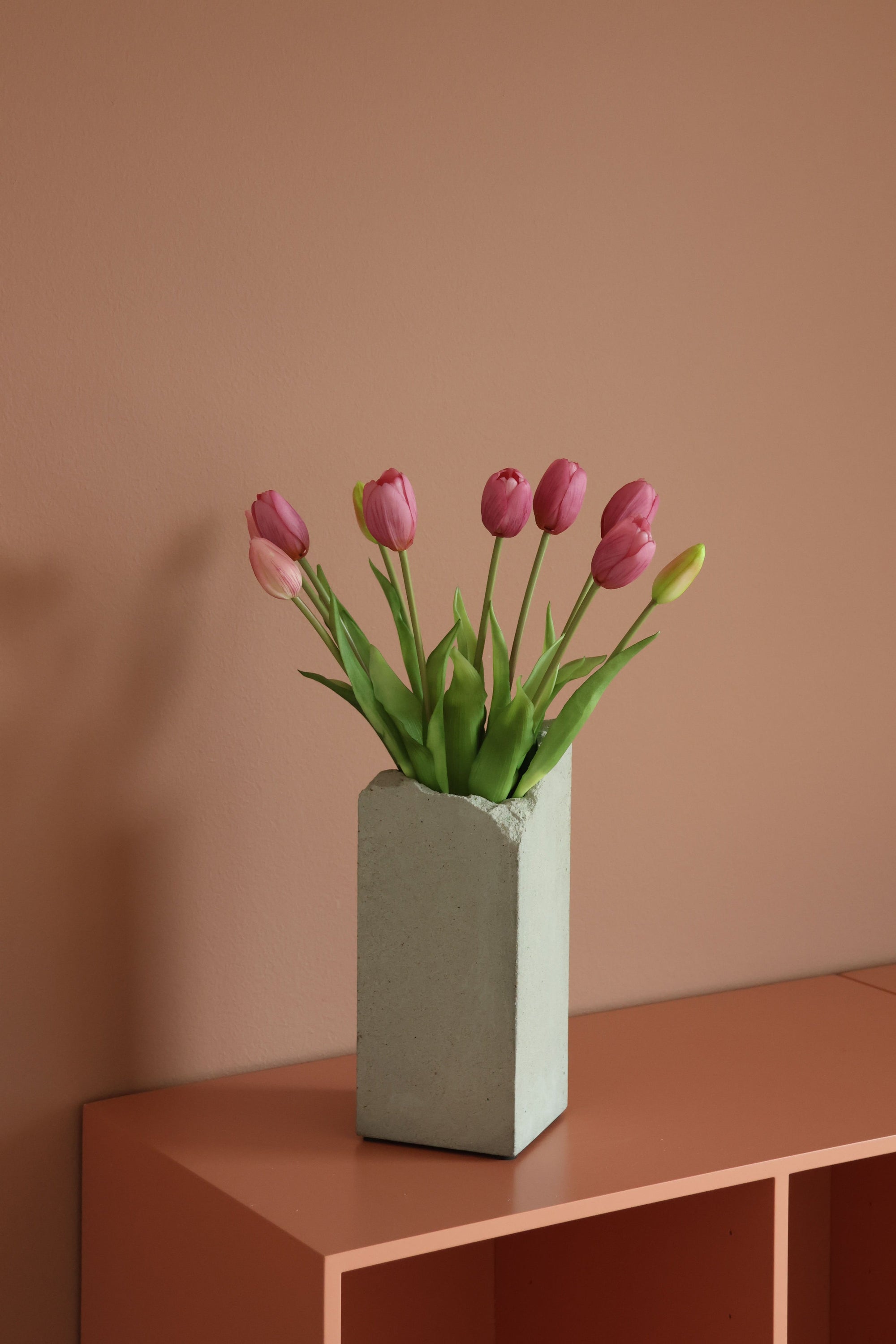 Tulipaner Rosa