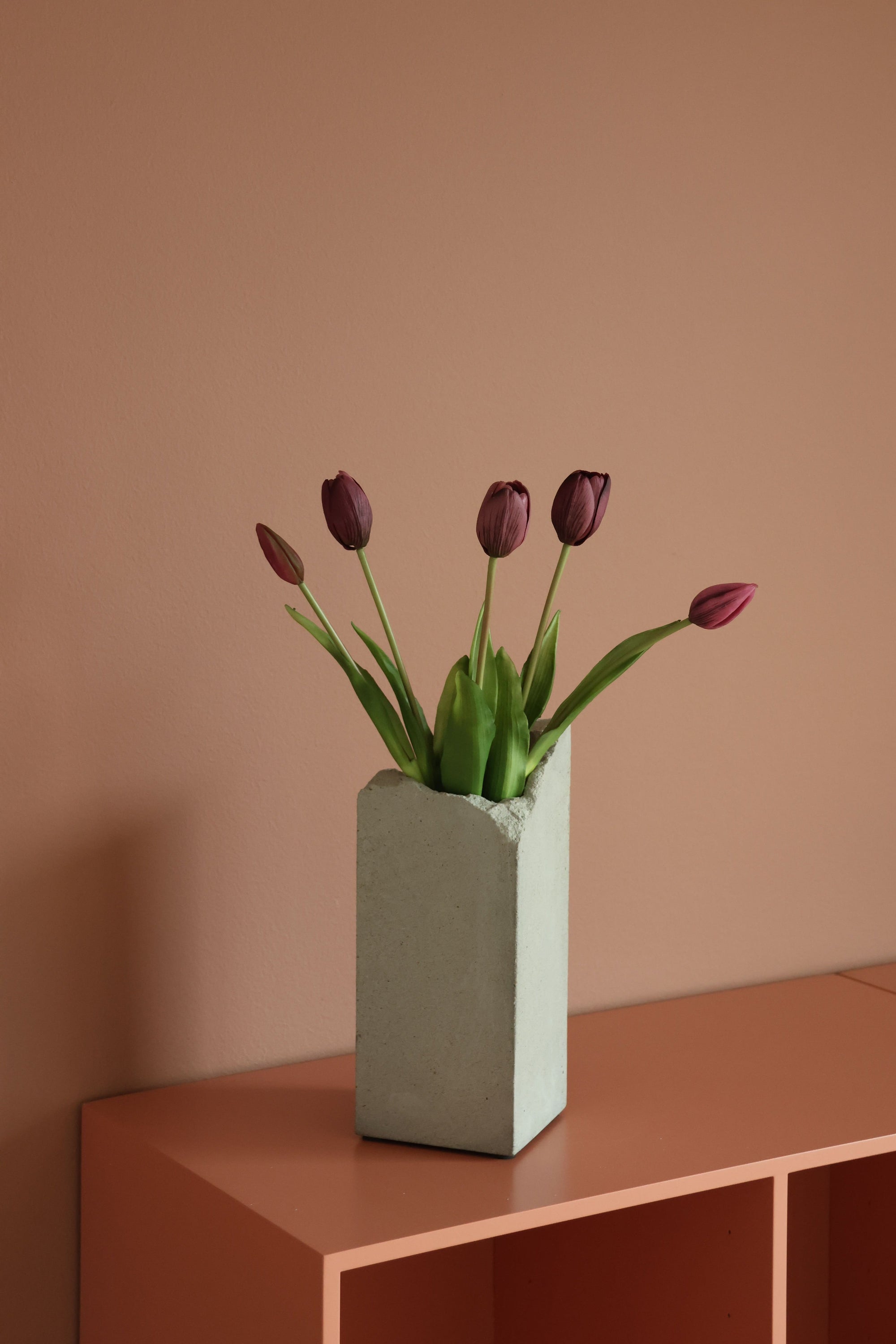 Tulipaner Lilla