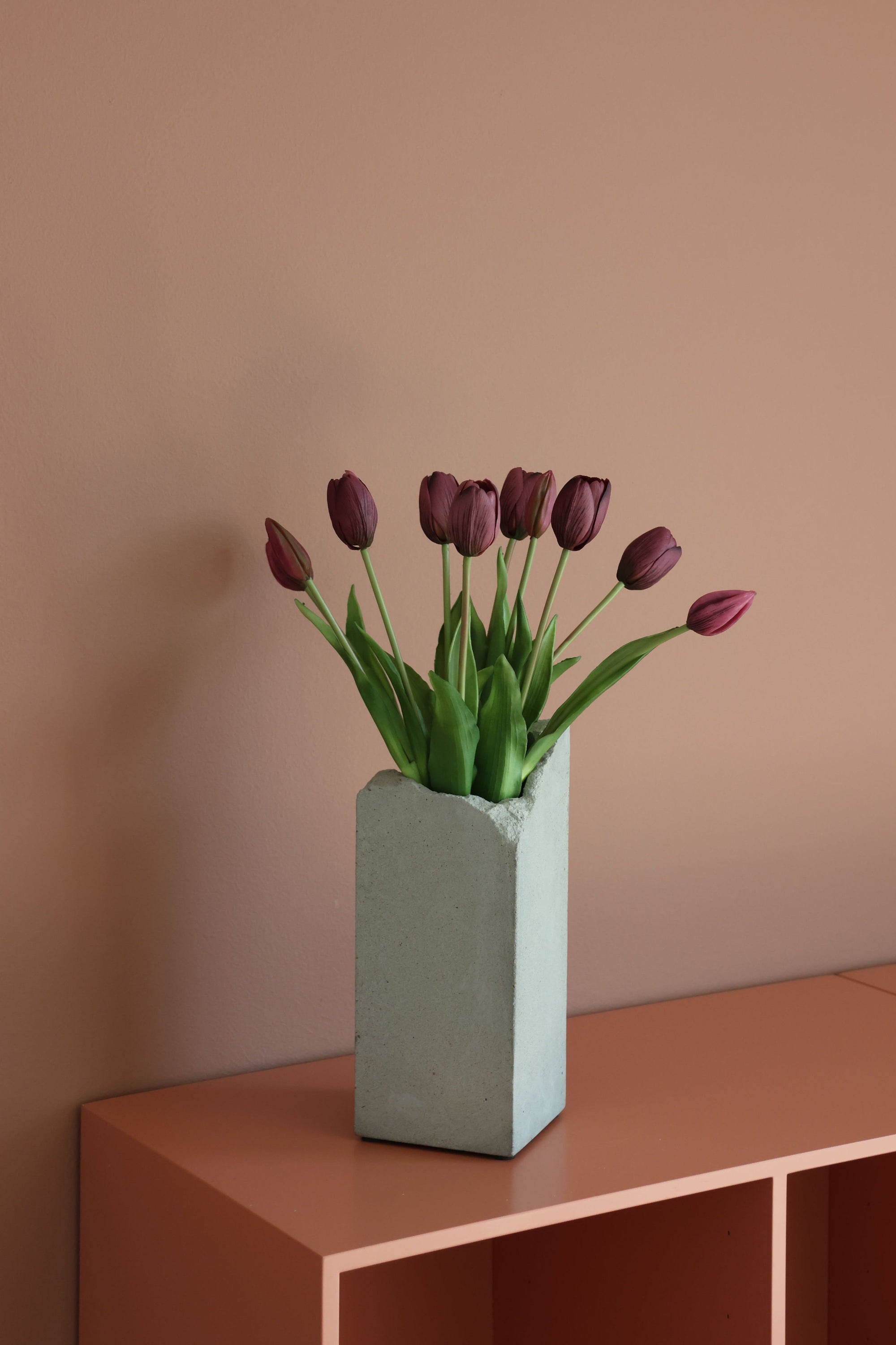 Tulipaner Lilla