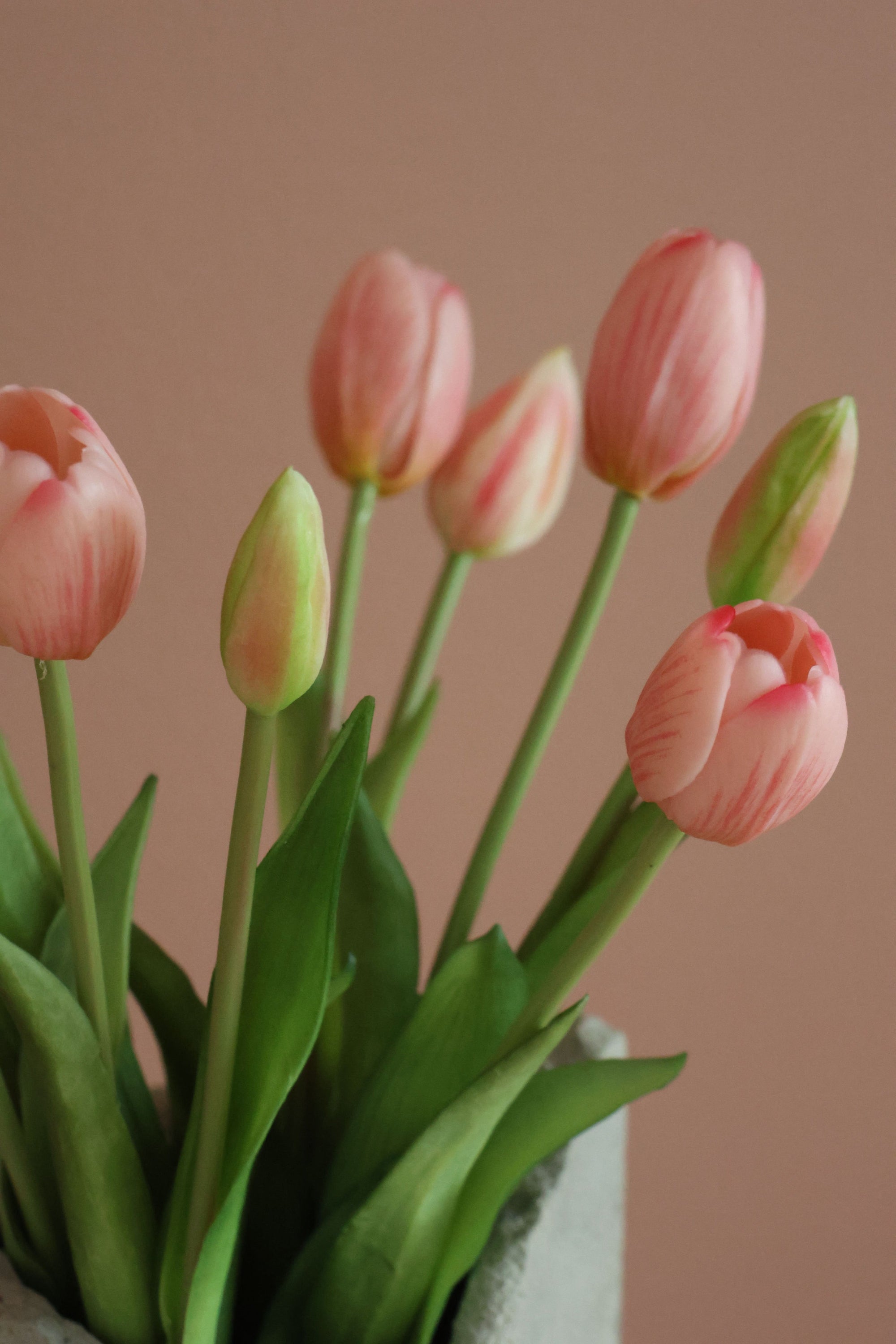 Tulipaner Lyserød