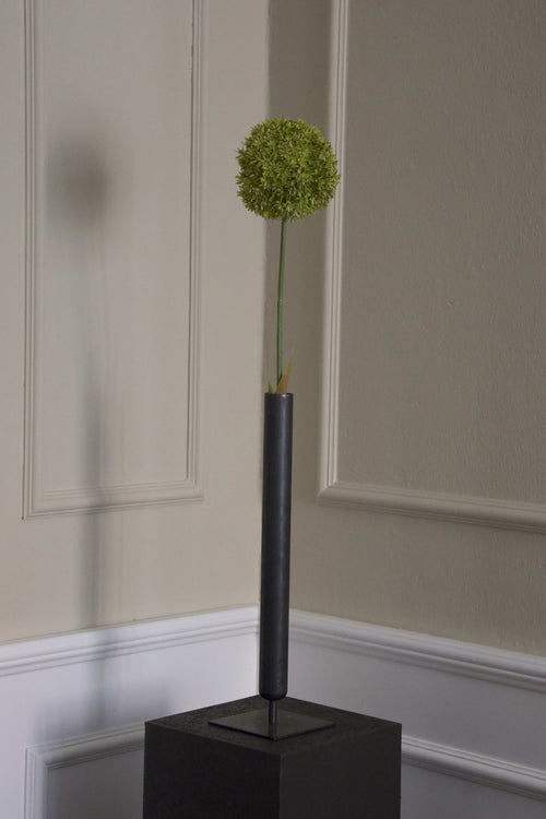 Allium Ball
