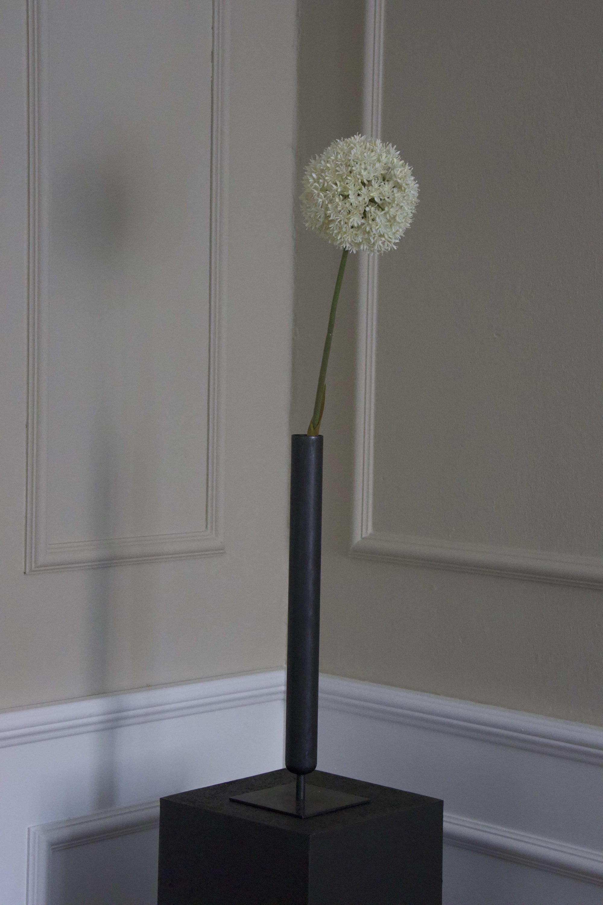 Allium Ball