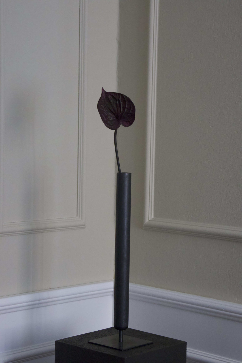 Hjerte Anthurium