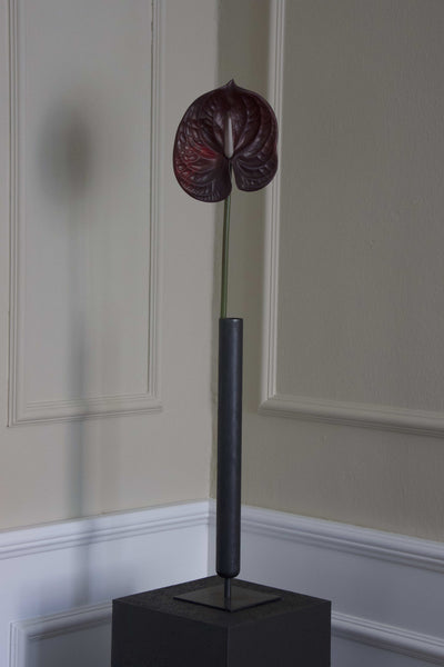 anthurium bordeaux Aura Copenhagen