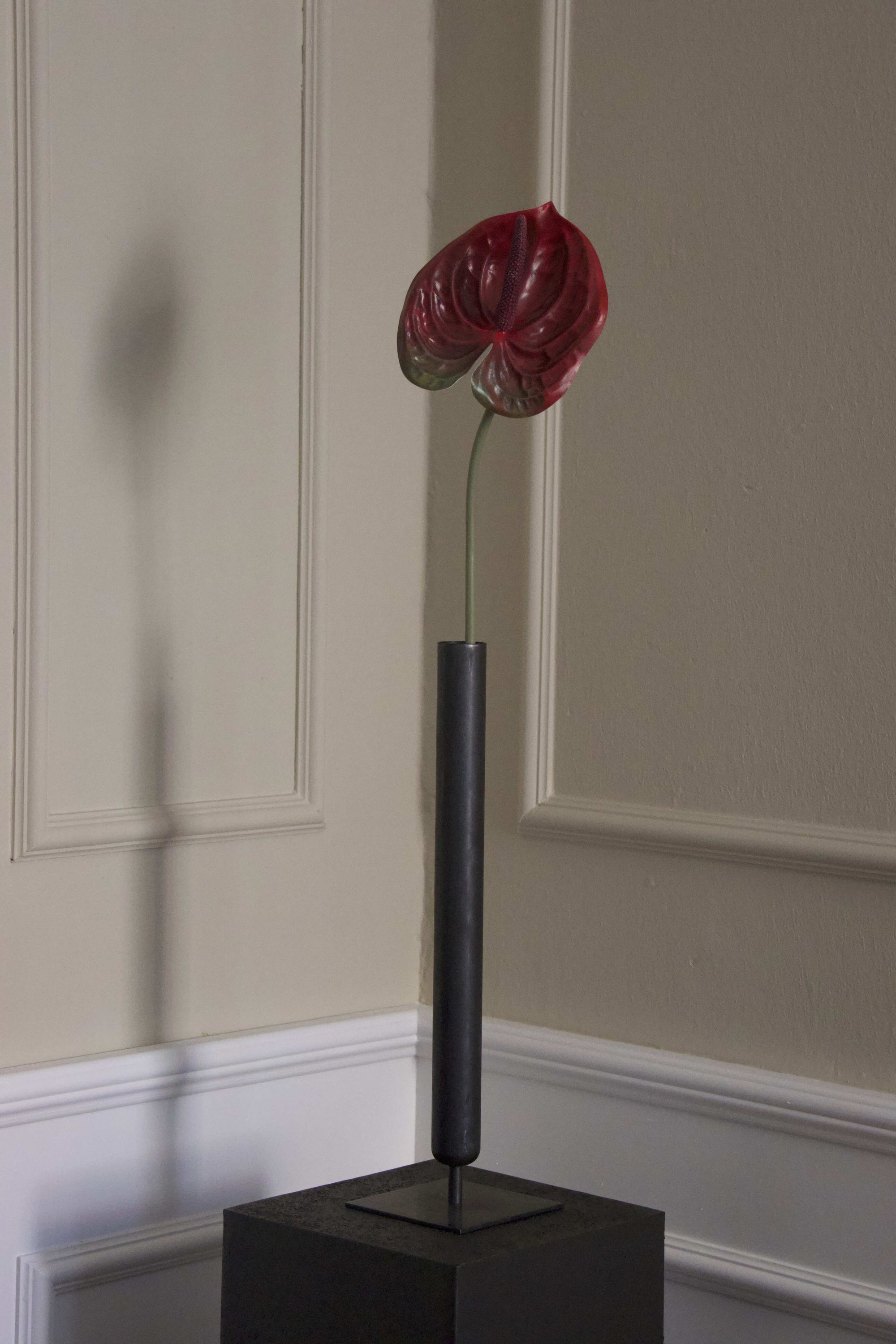 Anthurium
