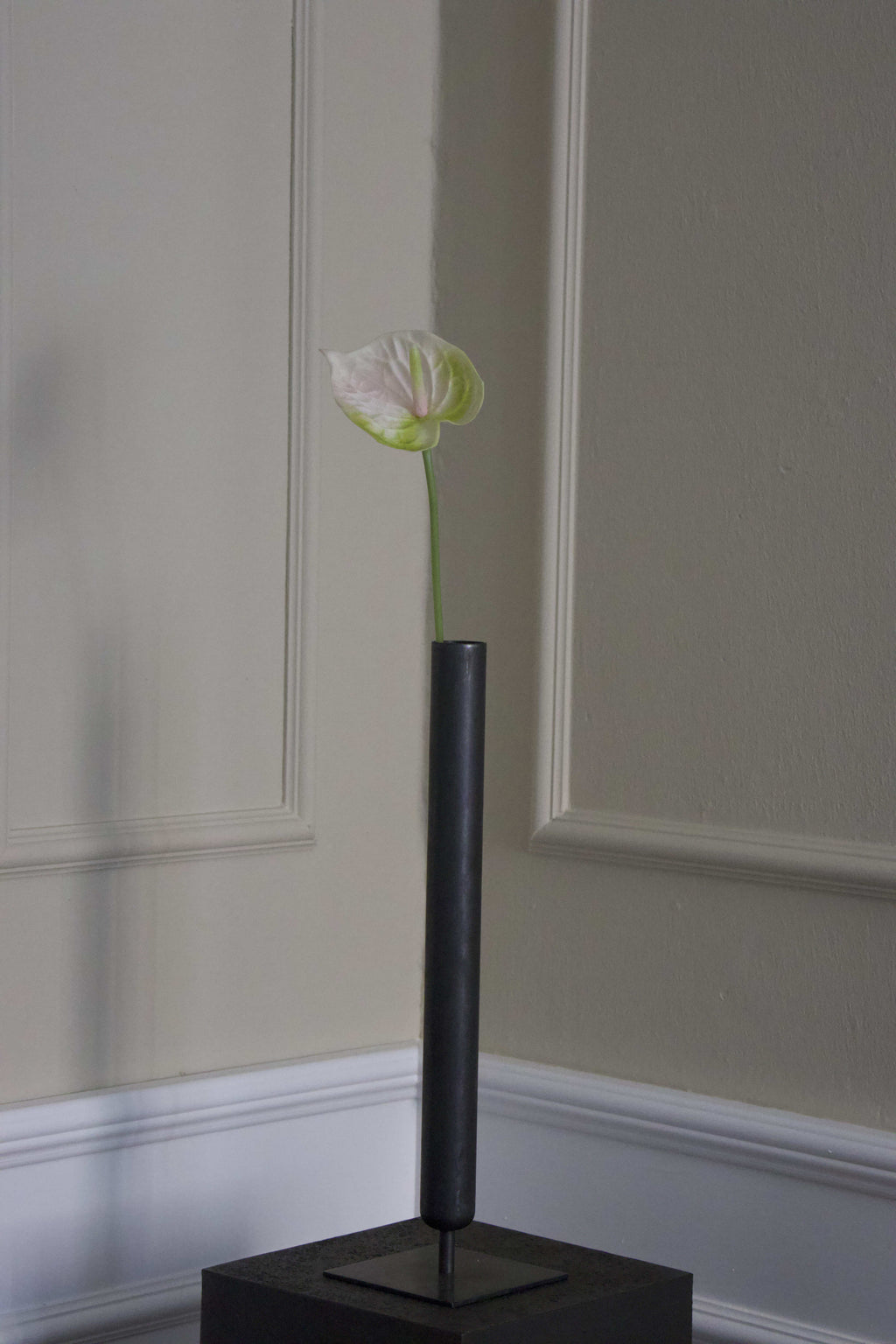 Hjerte Anthurium