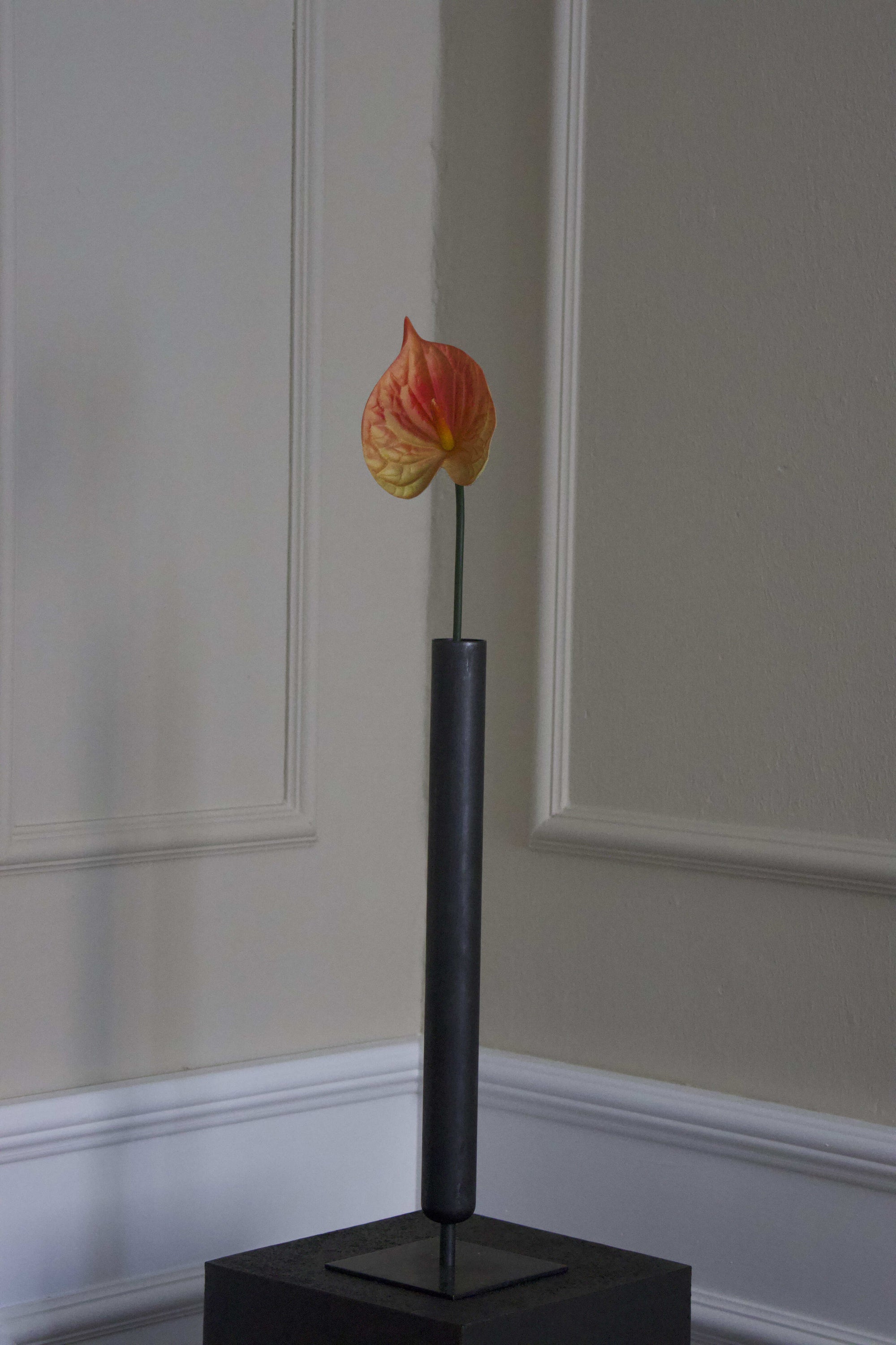 Hjerte Anthurium