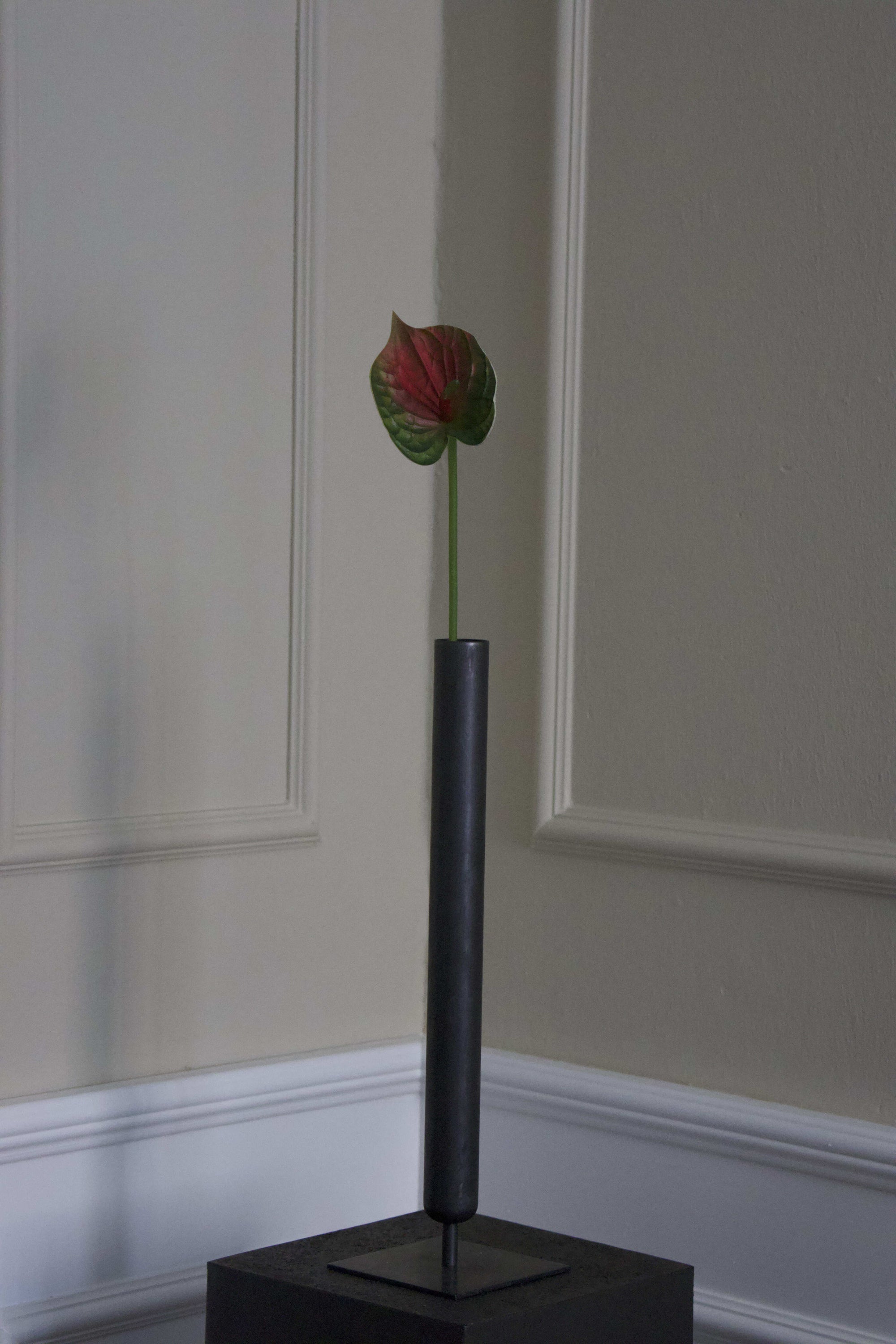 Hjerte Anthurium