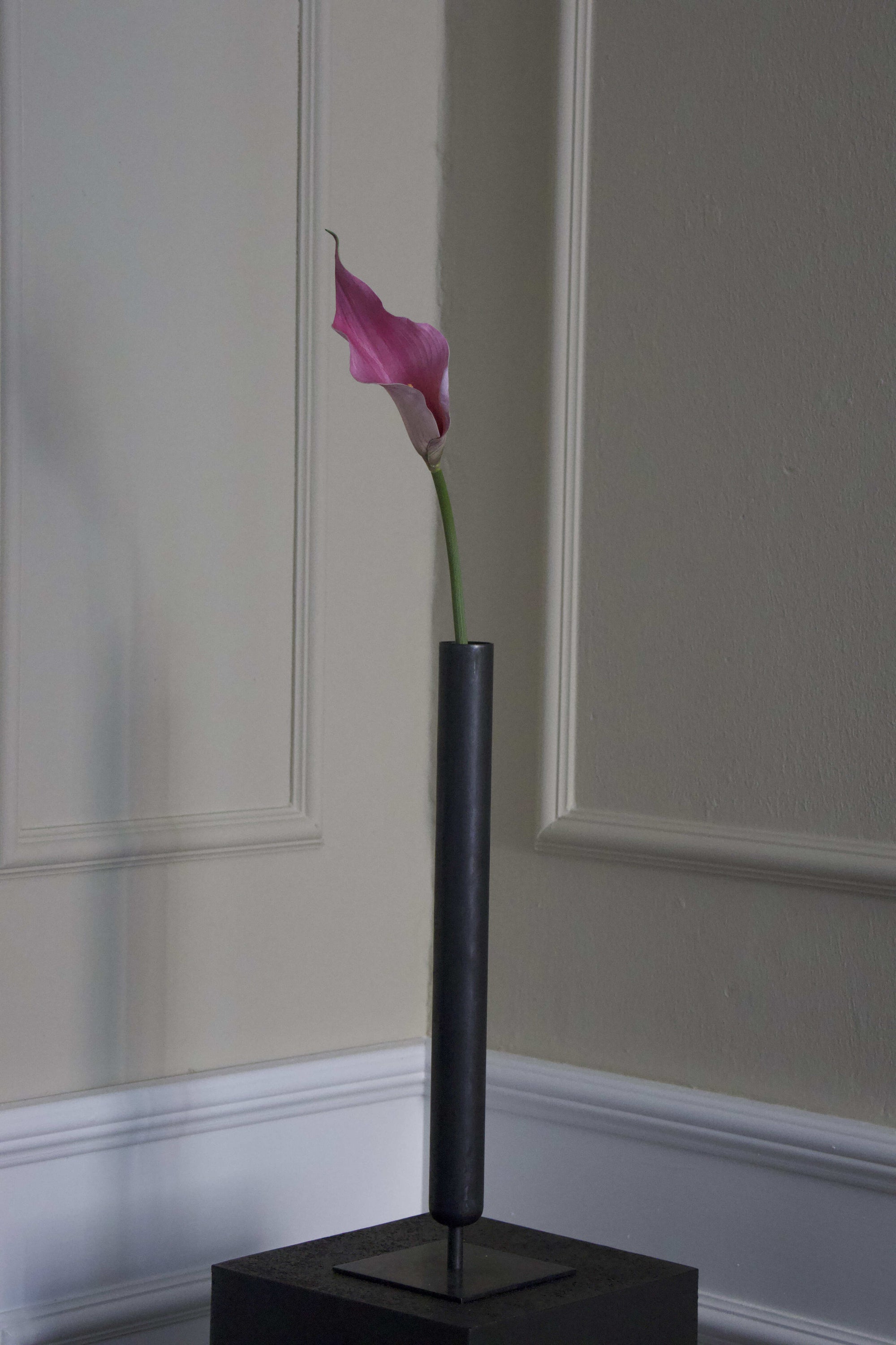 Calla lilje