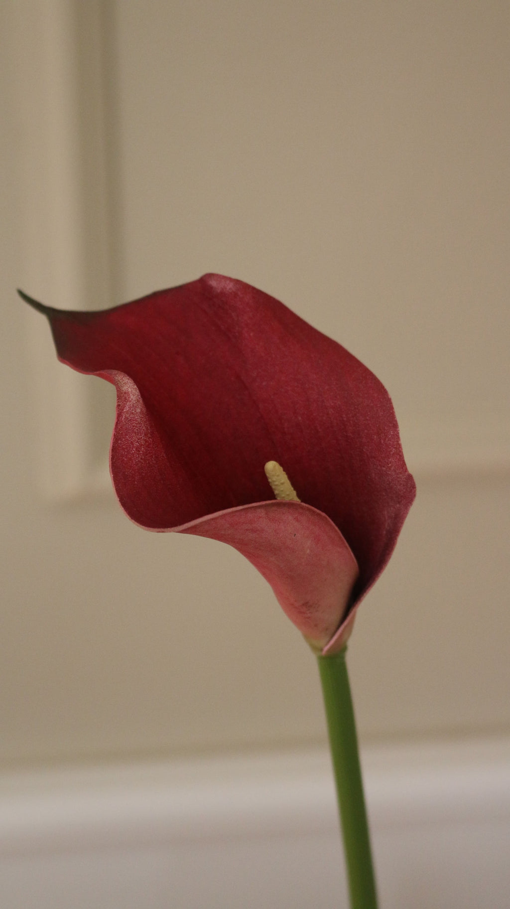 Calla Lilje Small