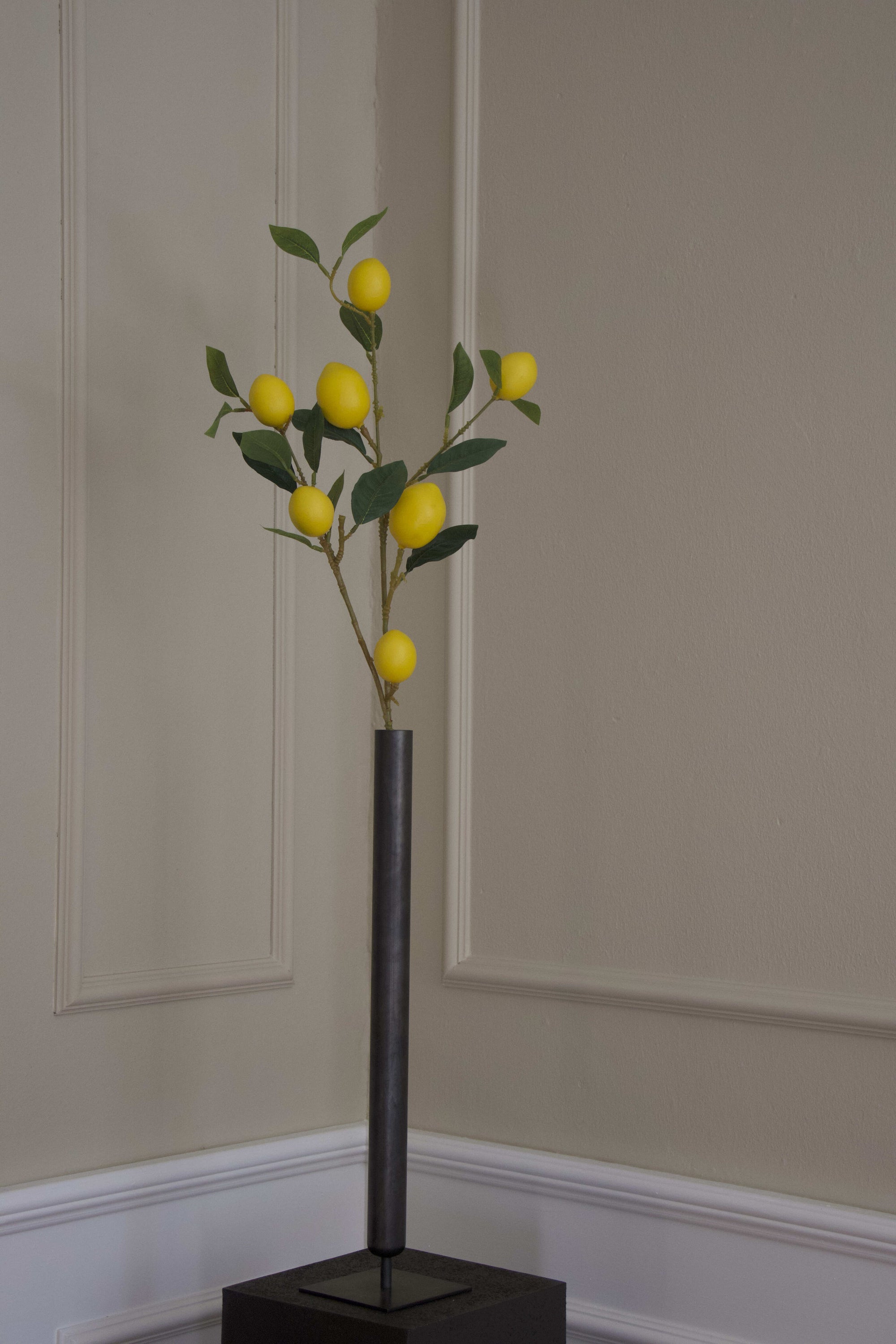 Citrongren