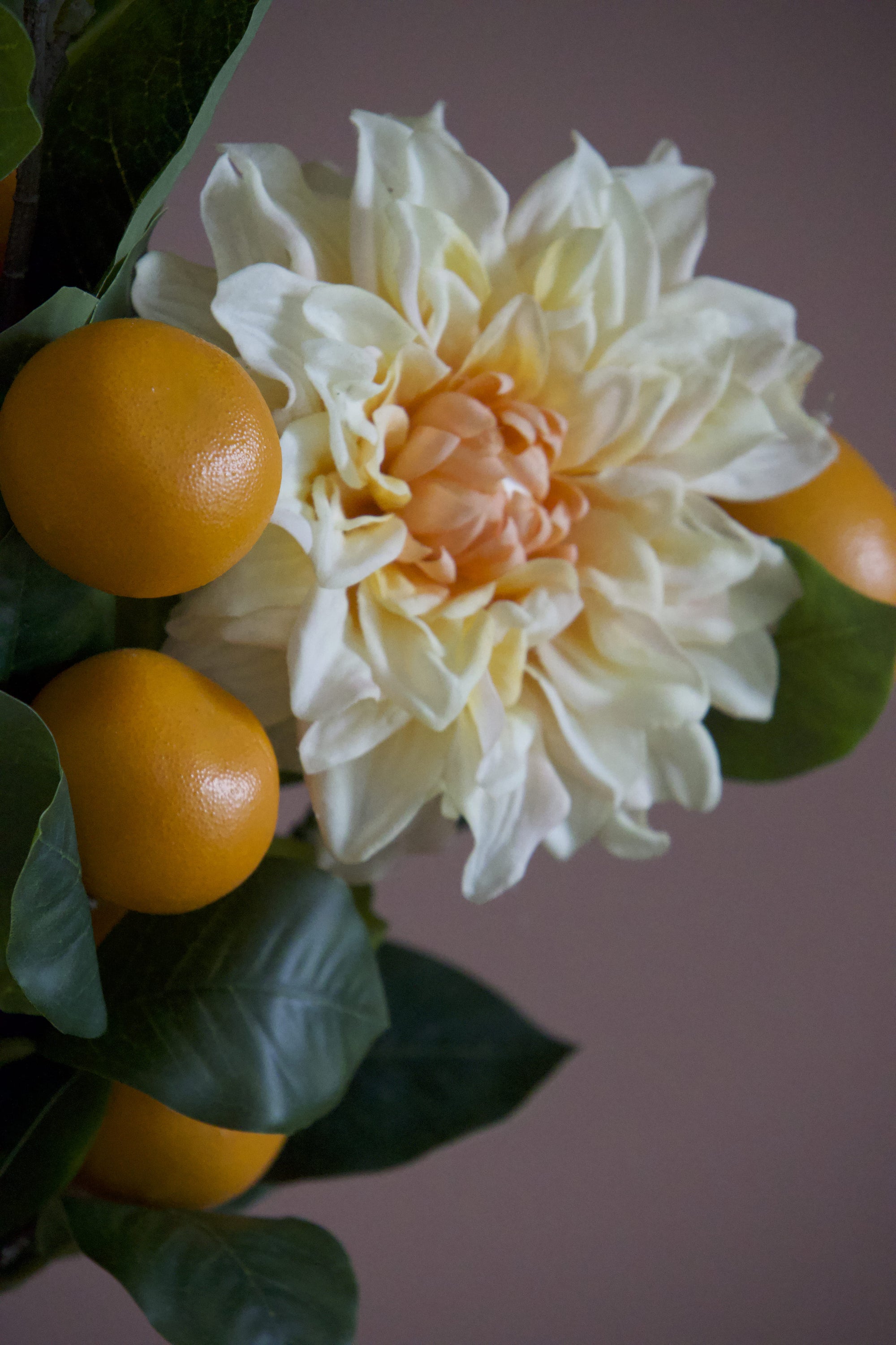 Citrus Sunshine