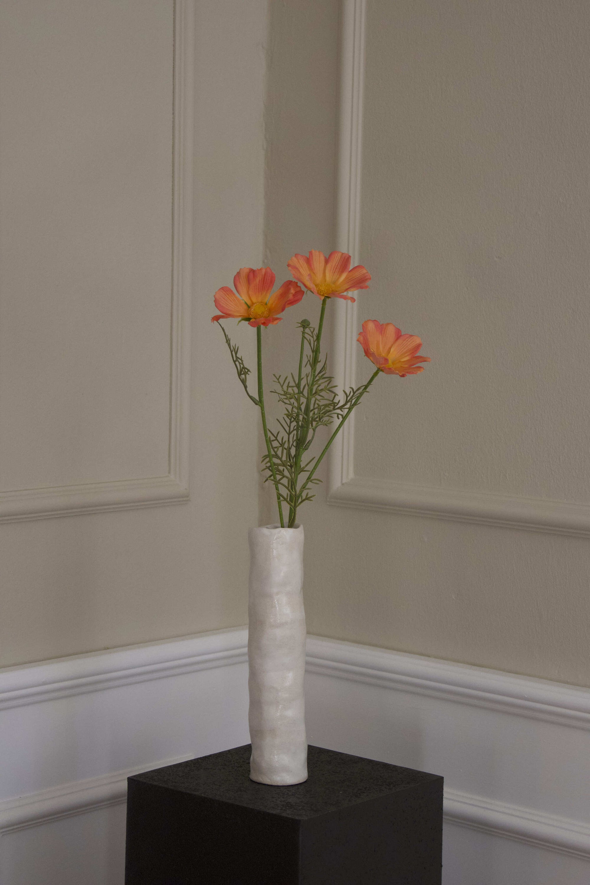 Cosmos