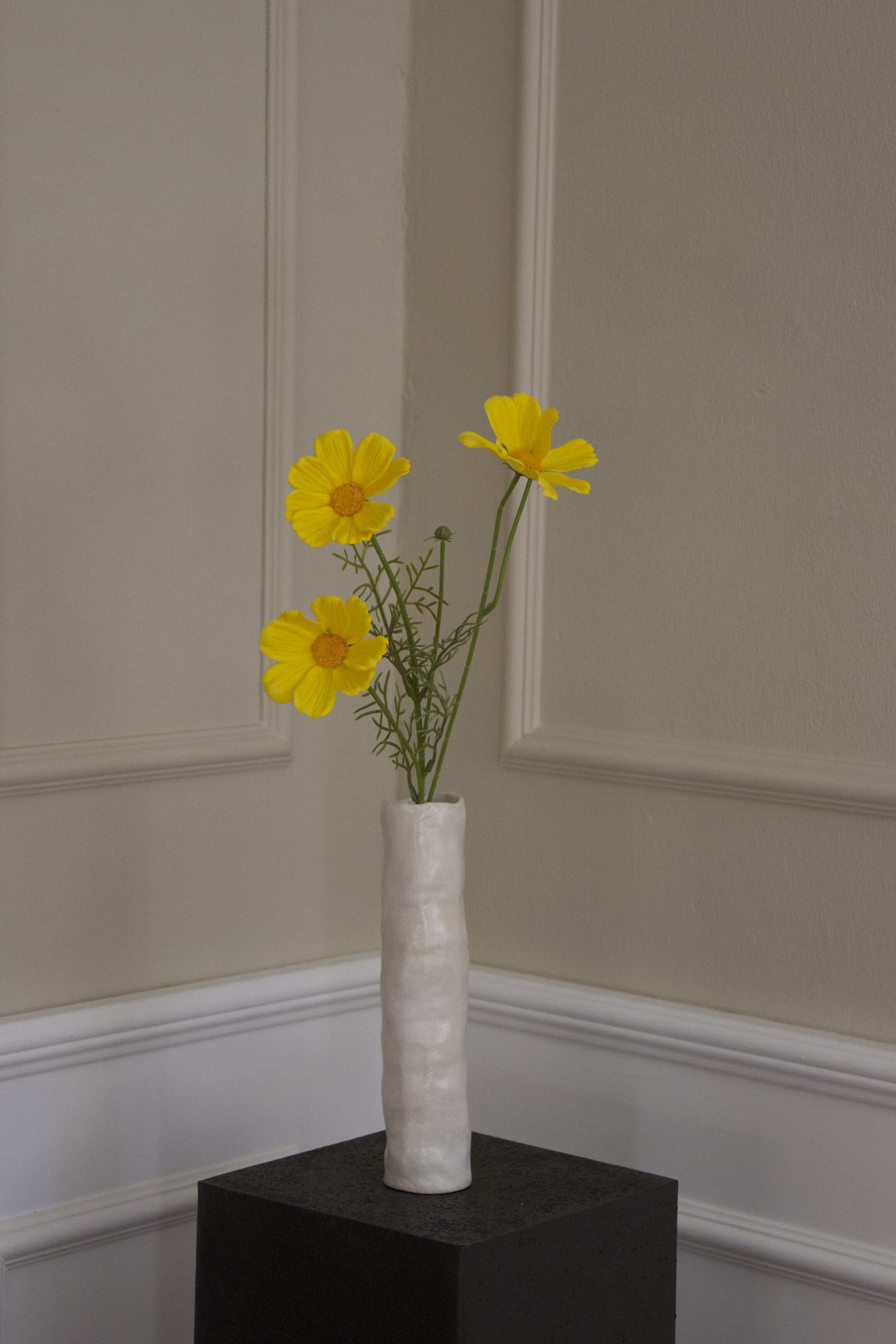 Cosmos