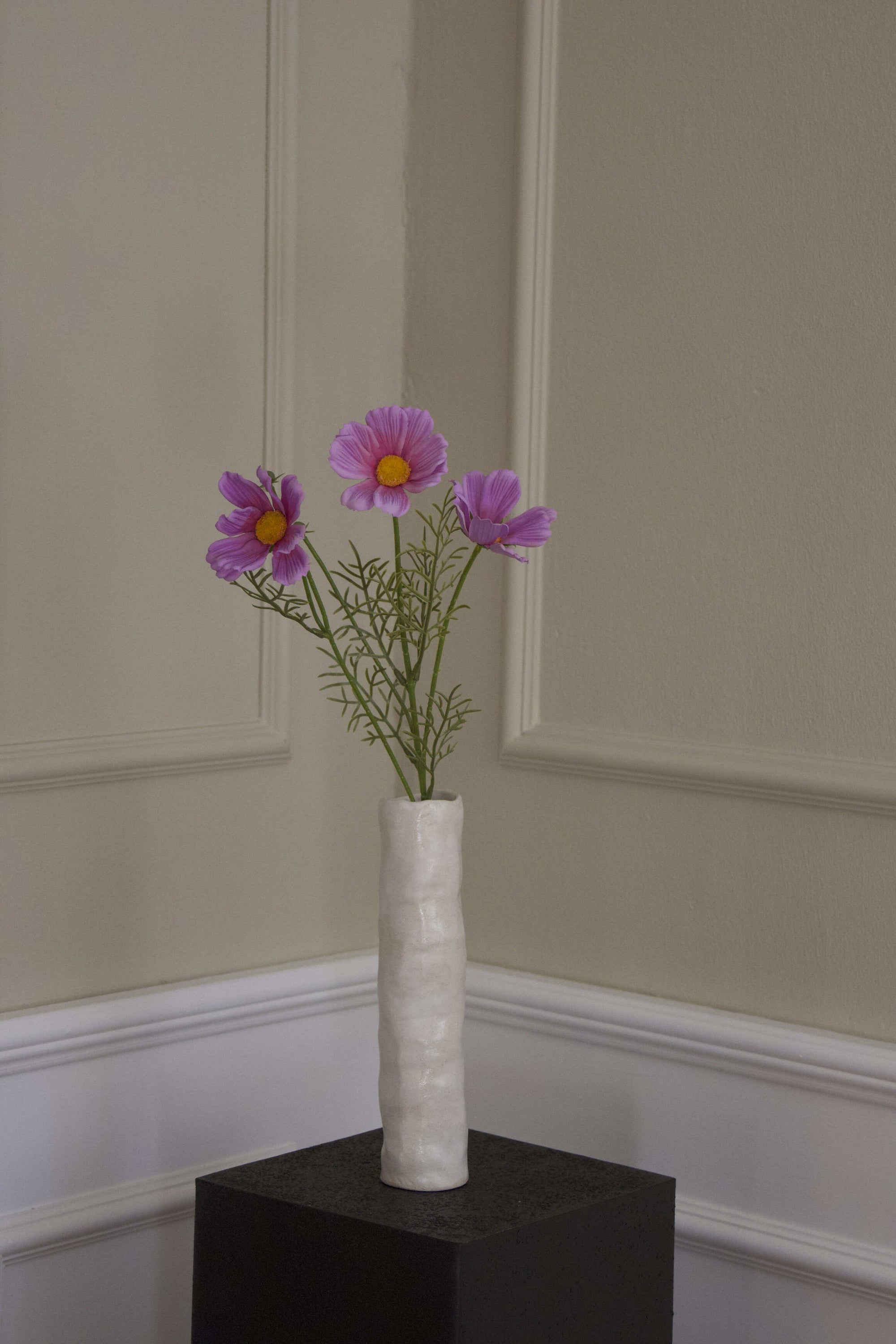 Cosmos
