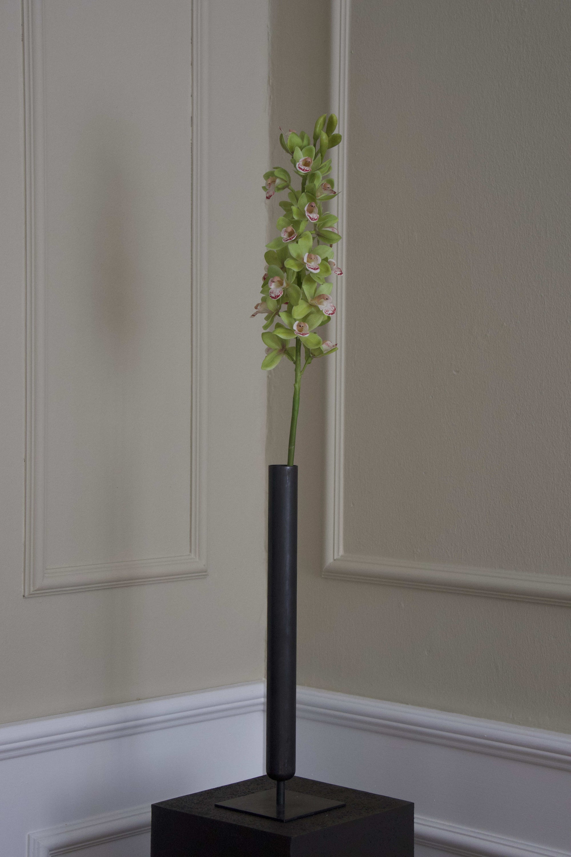 Cymbidium Orkidé