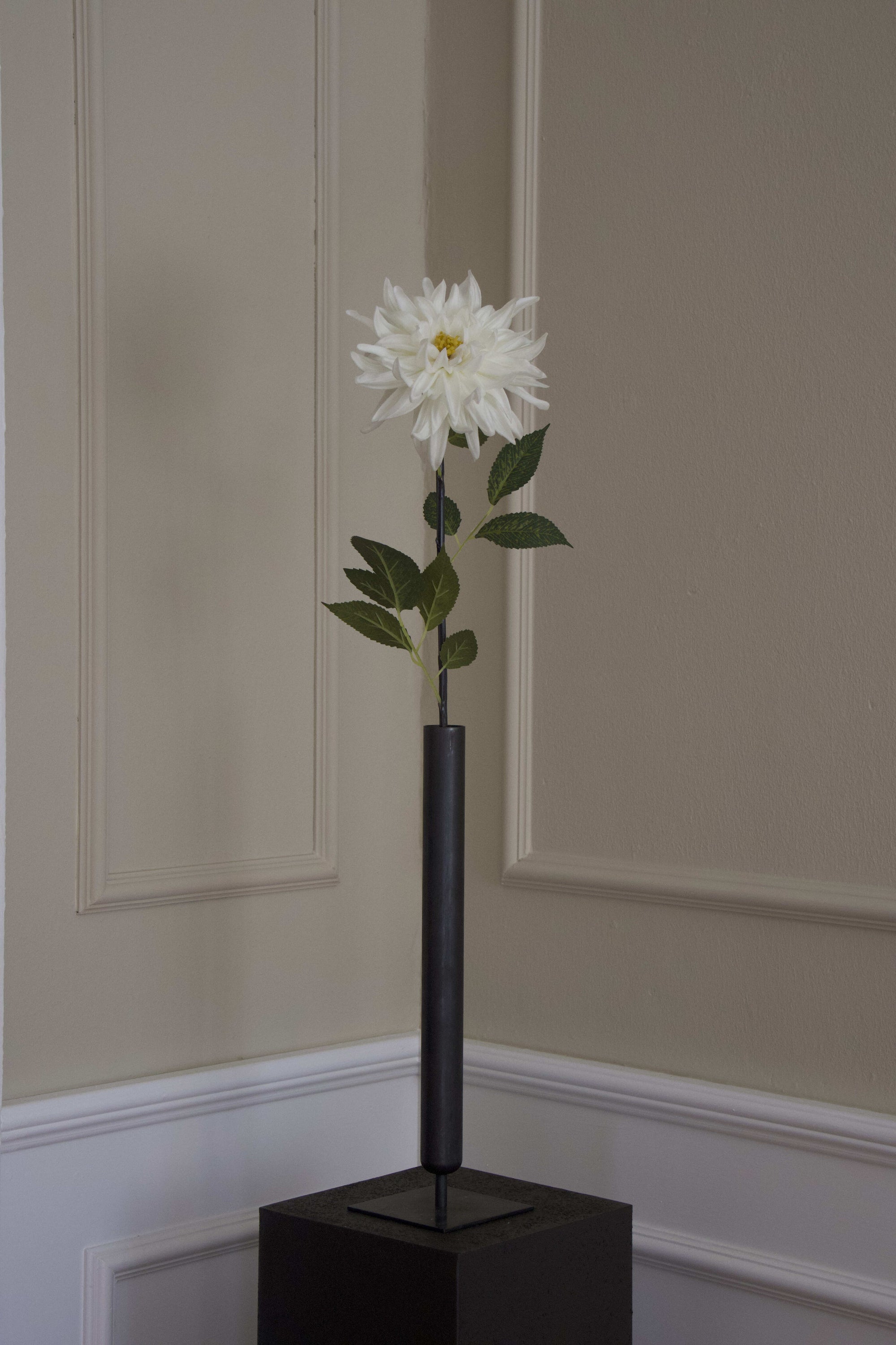 Spike Dahlia