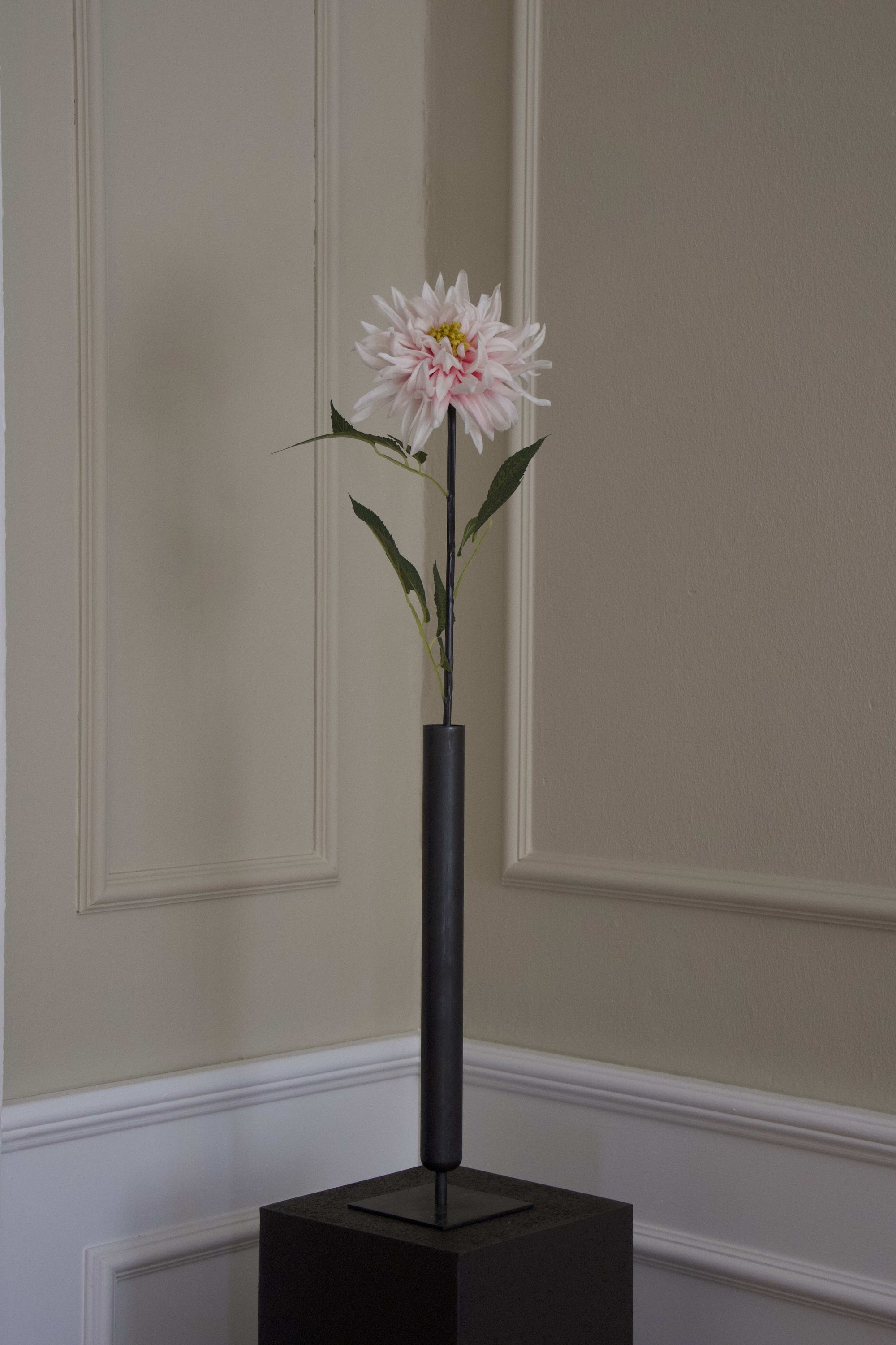 Spike Dahlia