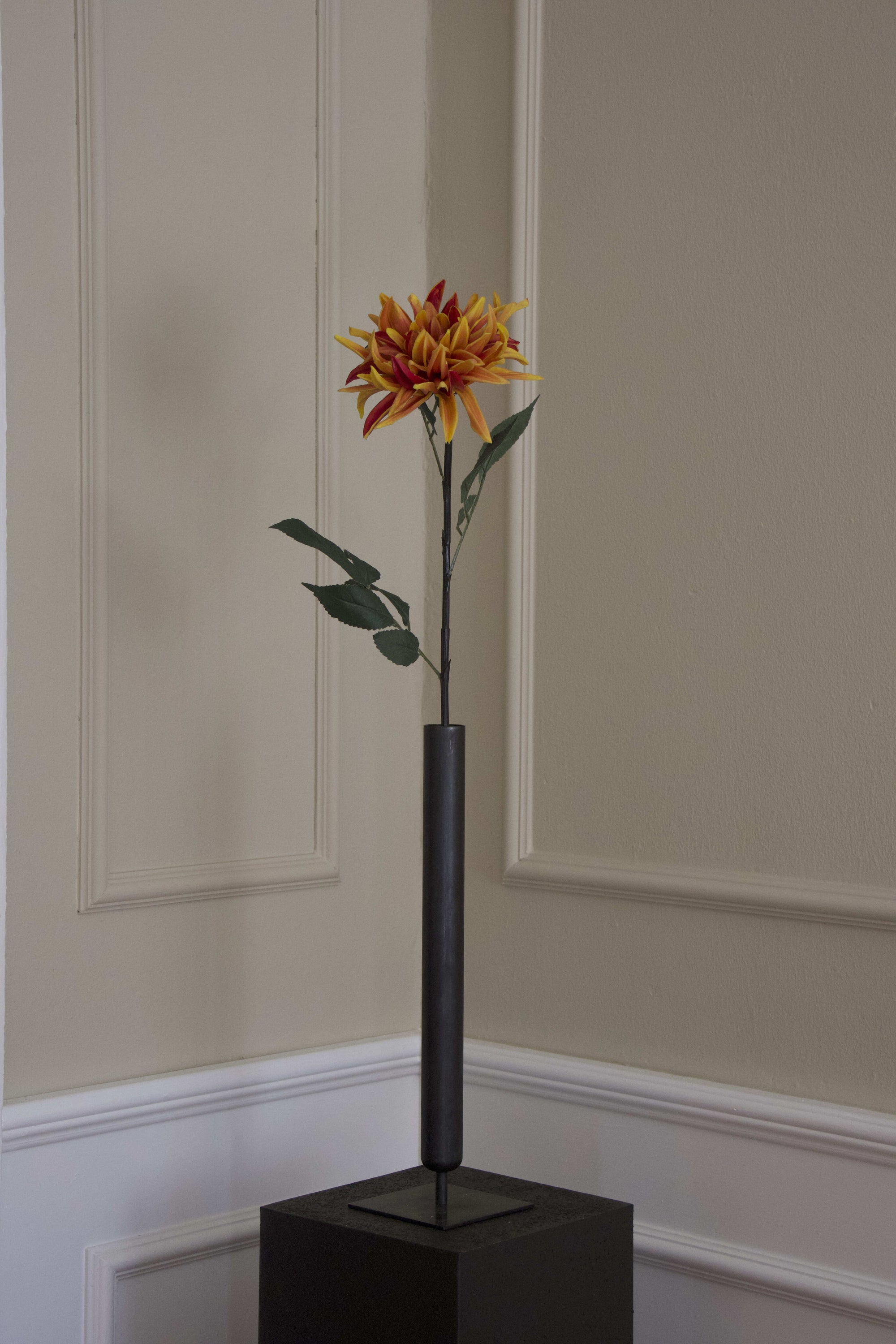 Spike Dahlia