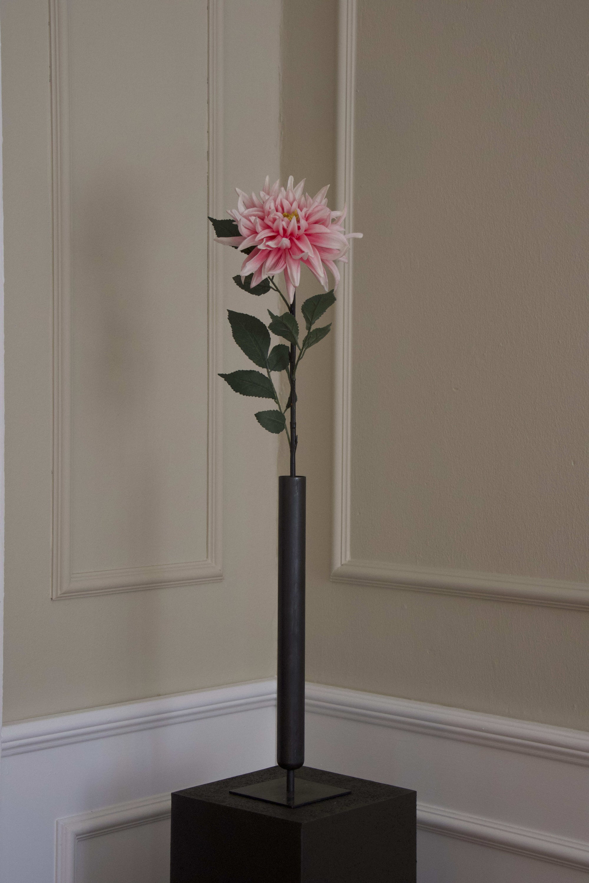 Spike Dahlia