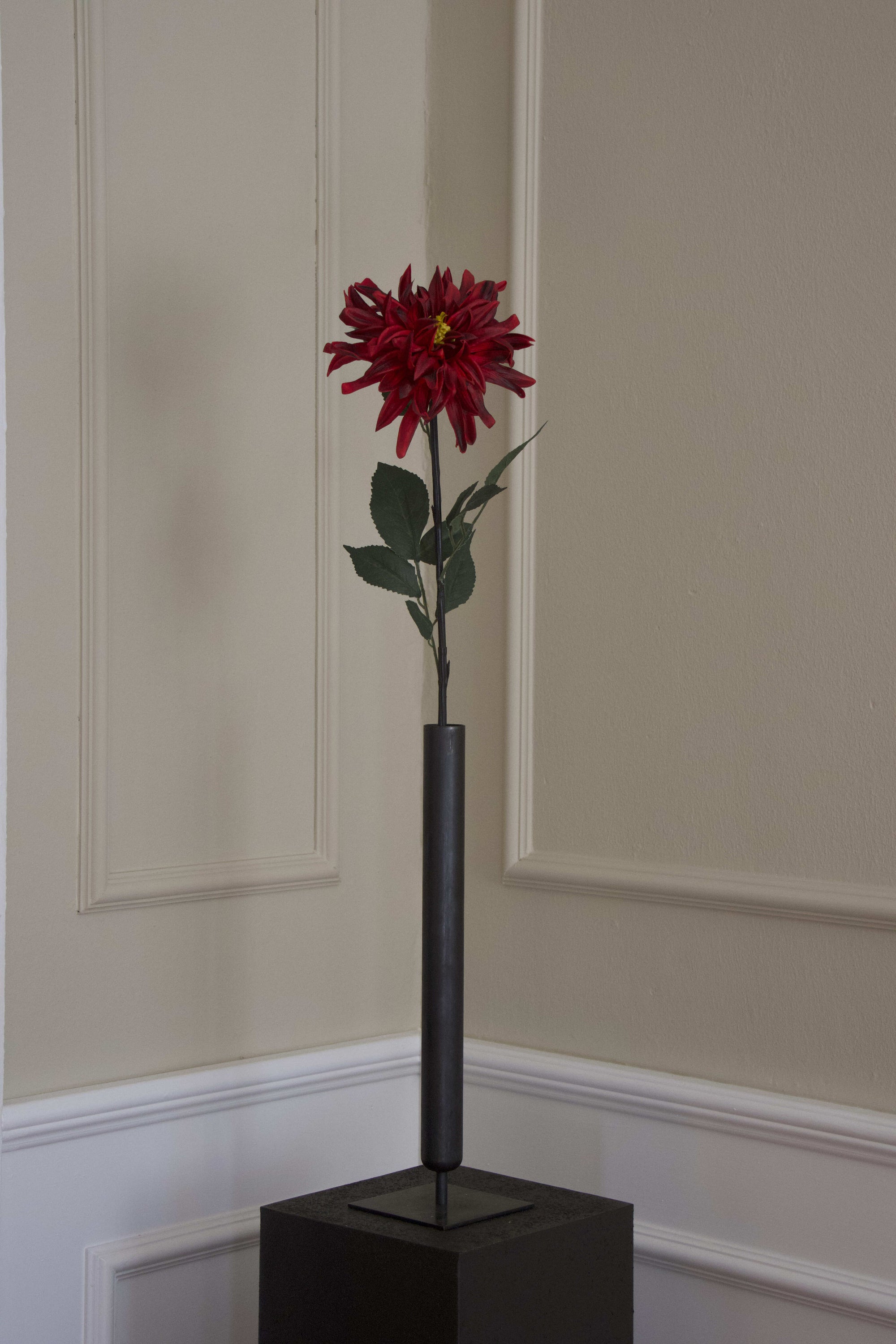 Spike Dahlia
