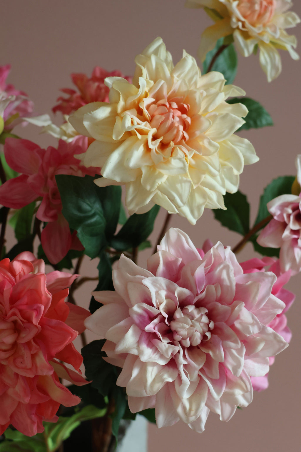 Dahlia Lover