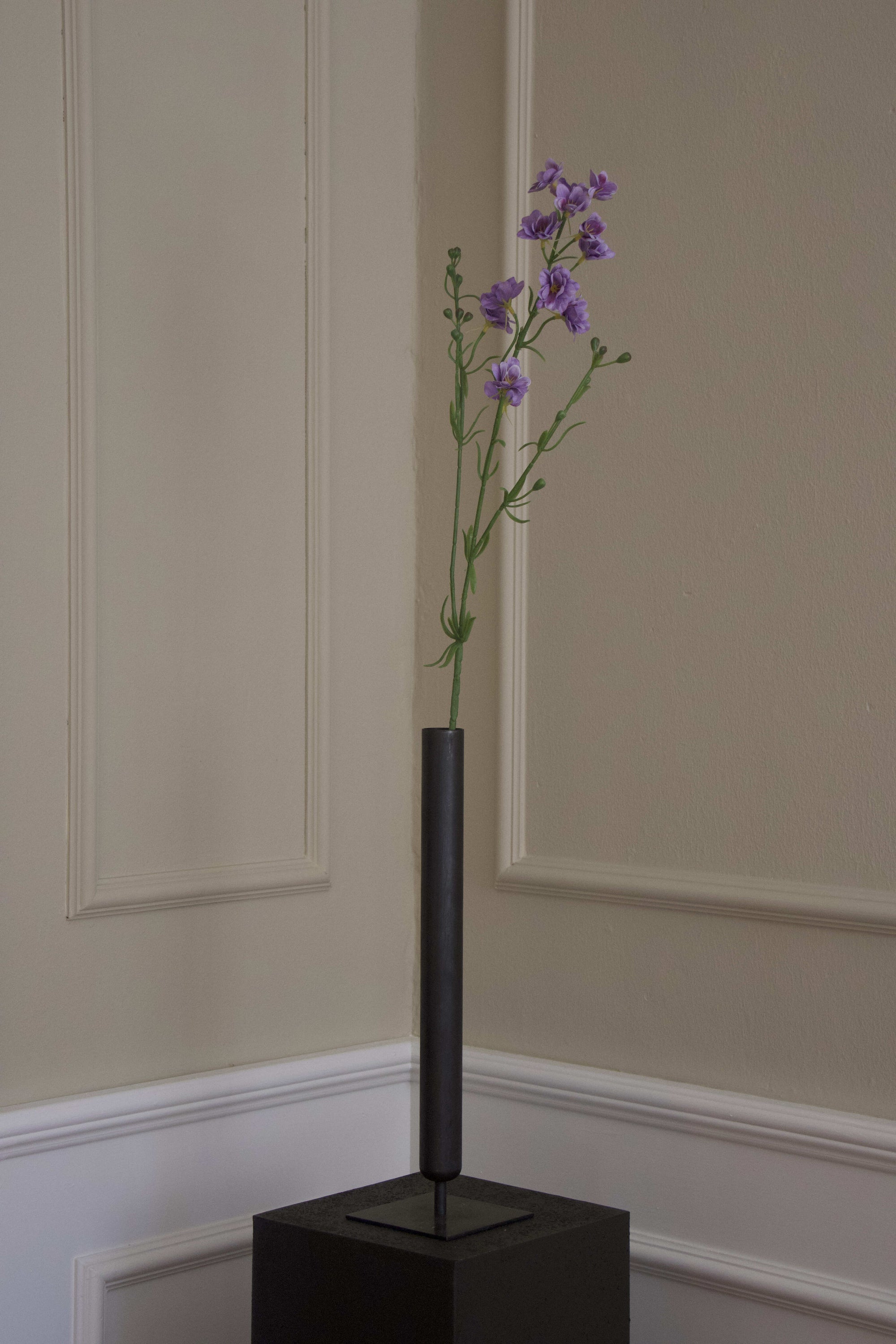 Delphinium