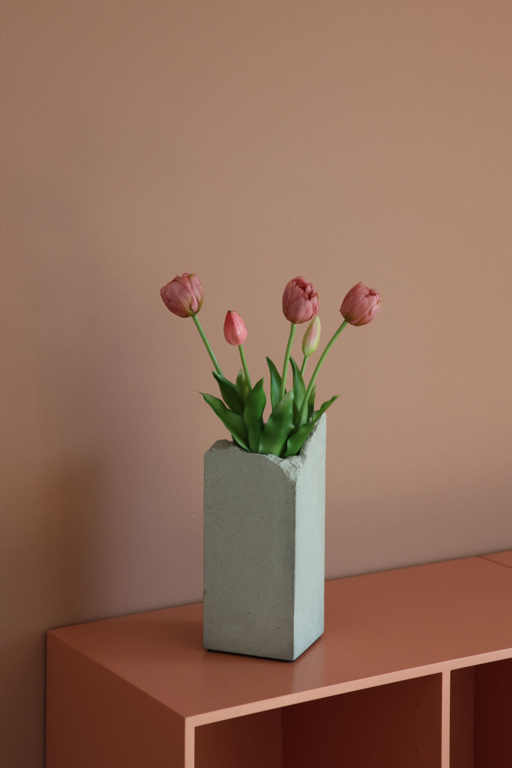 Dobbelt tulipan Rosa