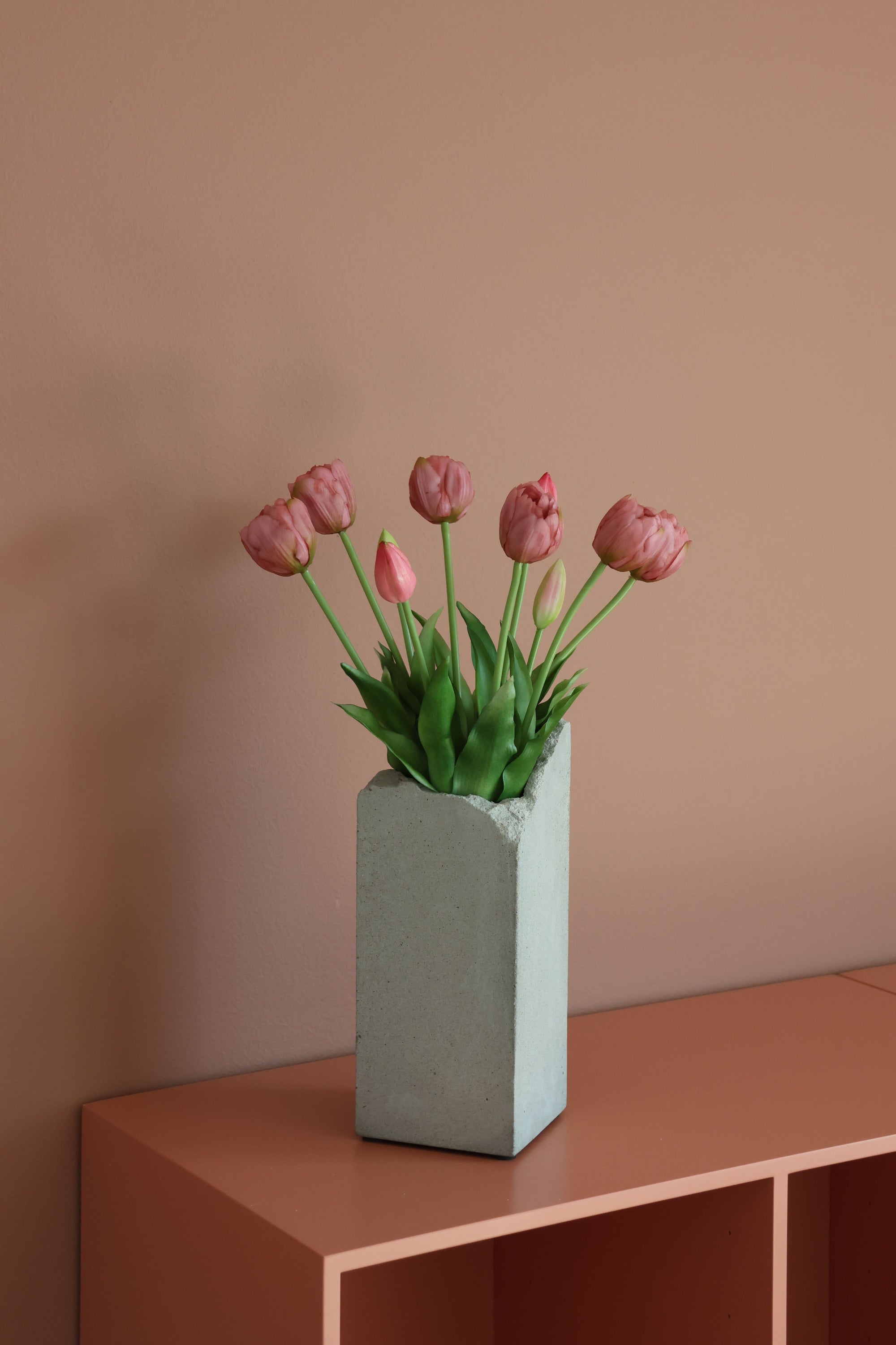 Dobbelt tulipan Rosa