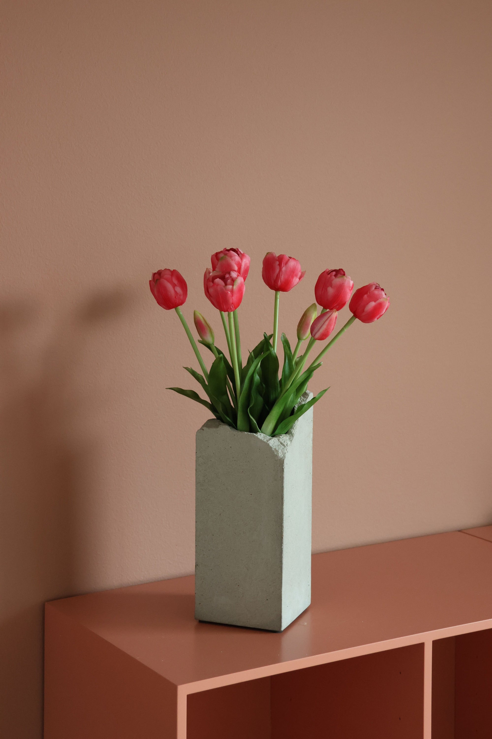 Dobbelt tulipan Pink