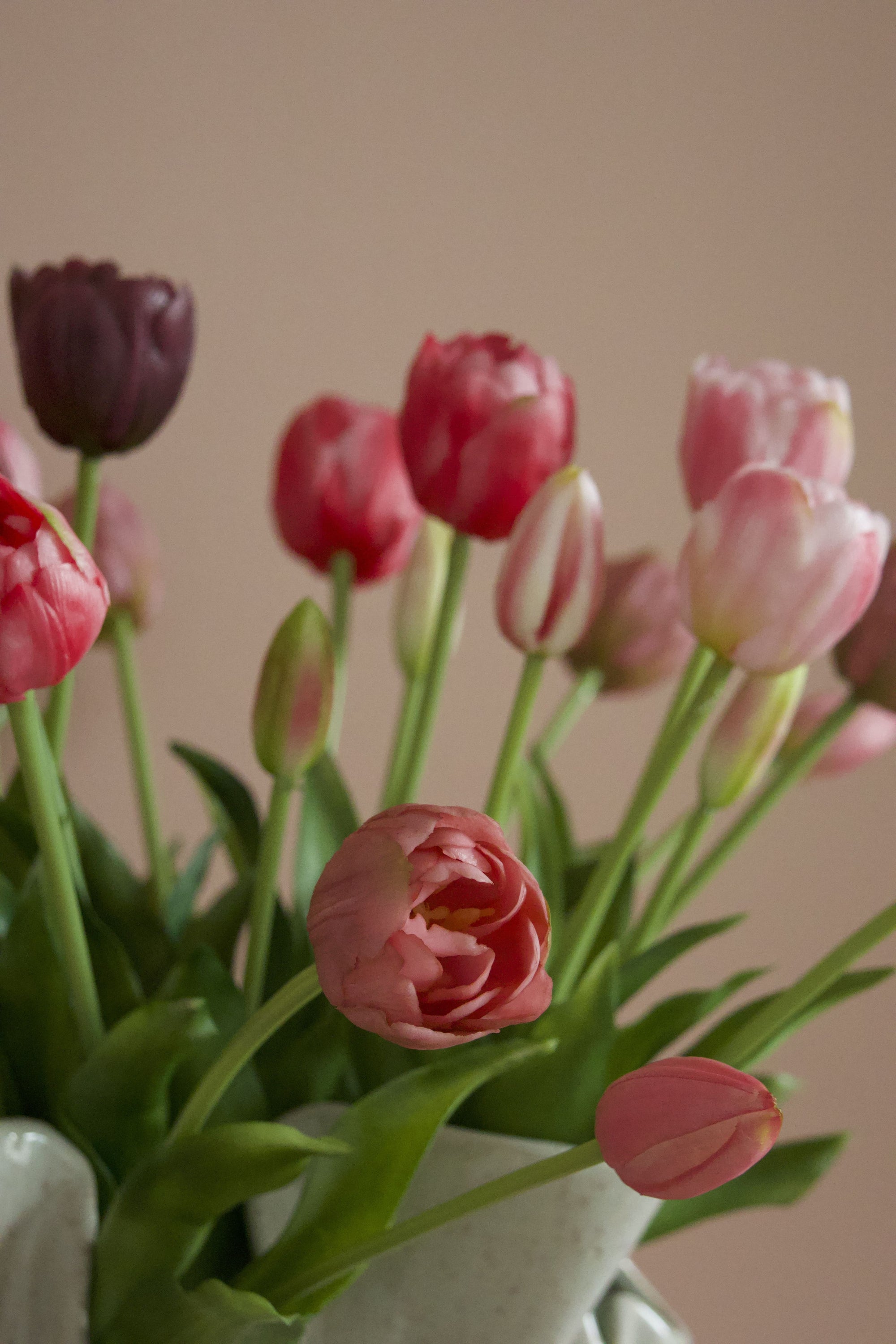 Double Tulip Lover