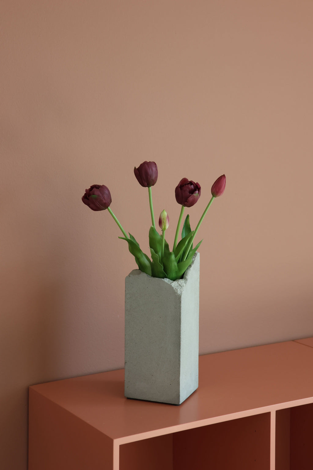 Dobbelt tulipan lilla