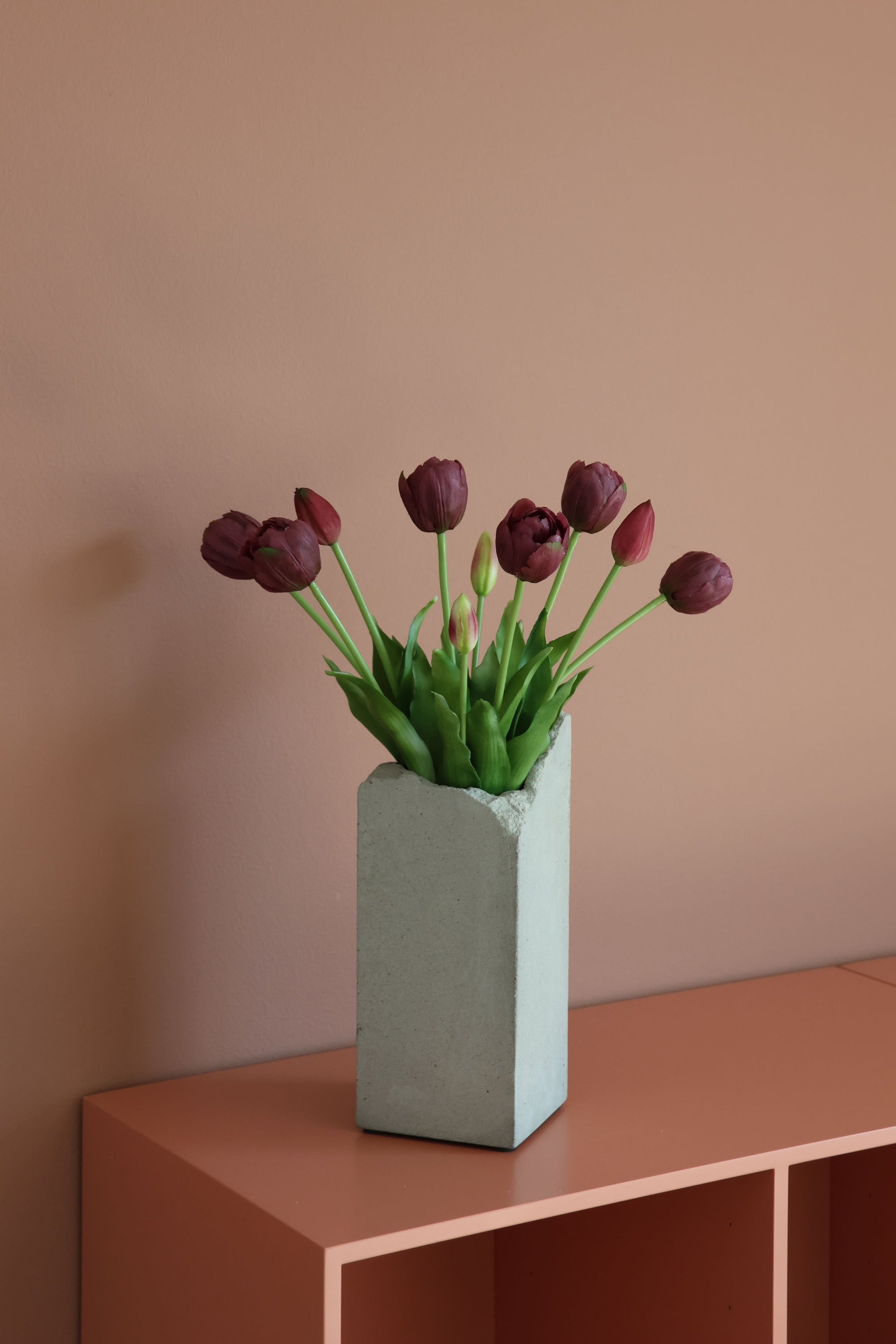 Dobbelt tulipan lilla