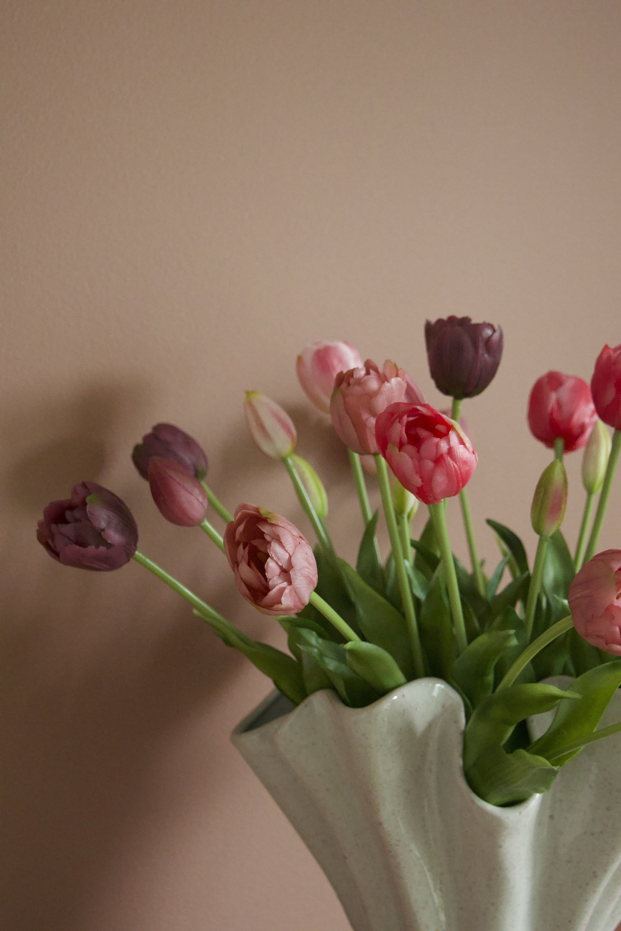 Double Tulip Lover
