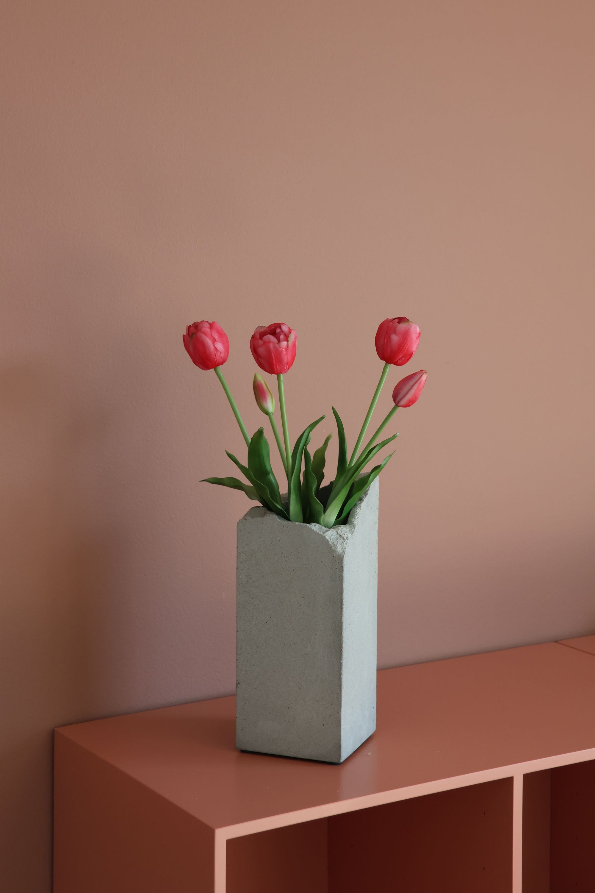 Dobbelt tulipan Pink