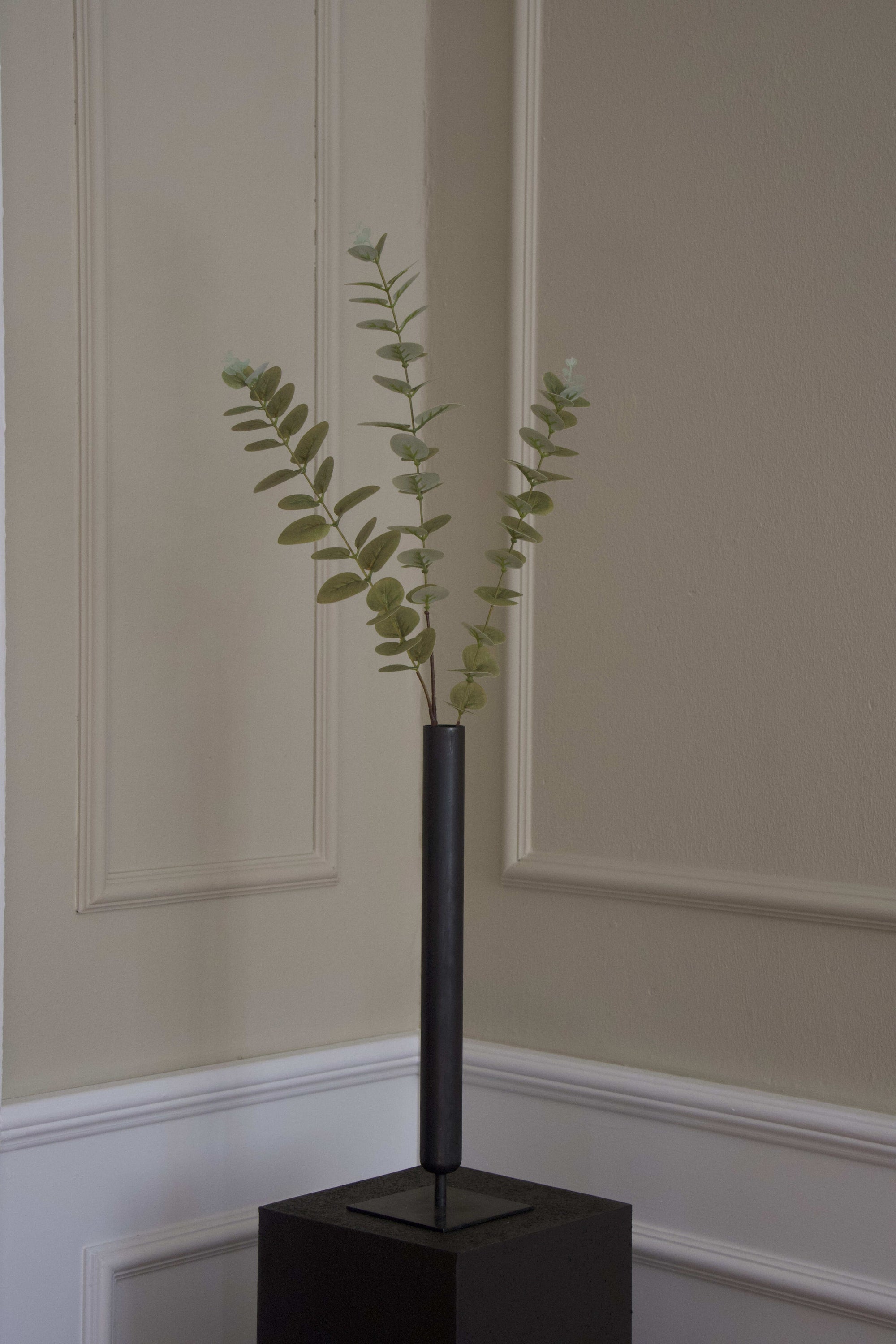 Eucalyptus