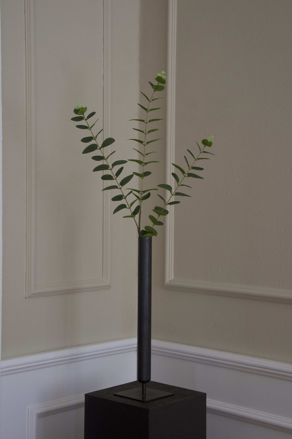 Eucalyptus