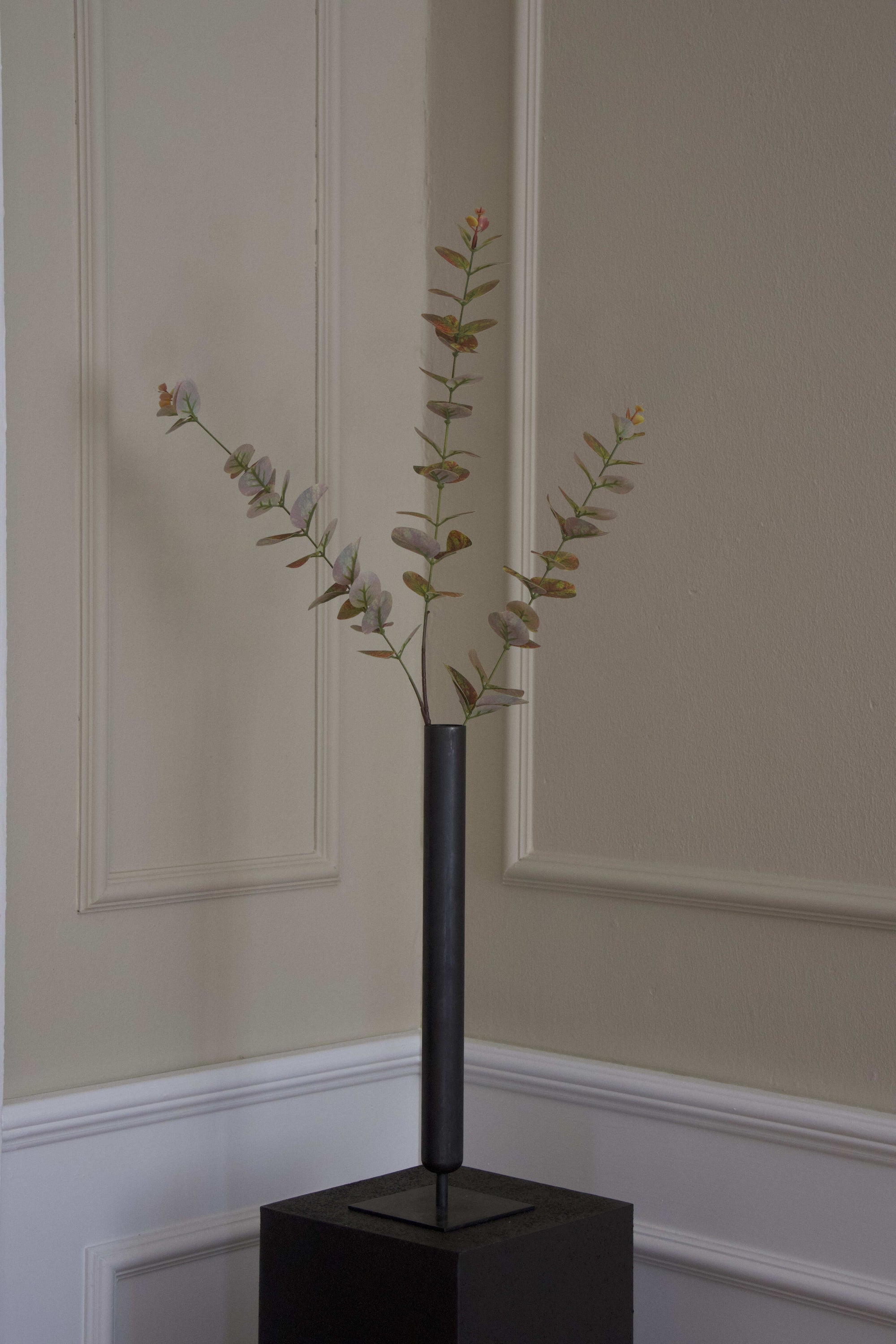 Eucalyptus