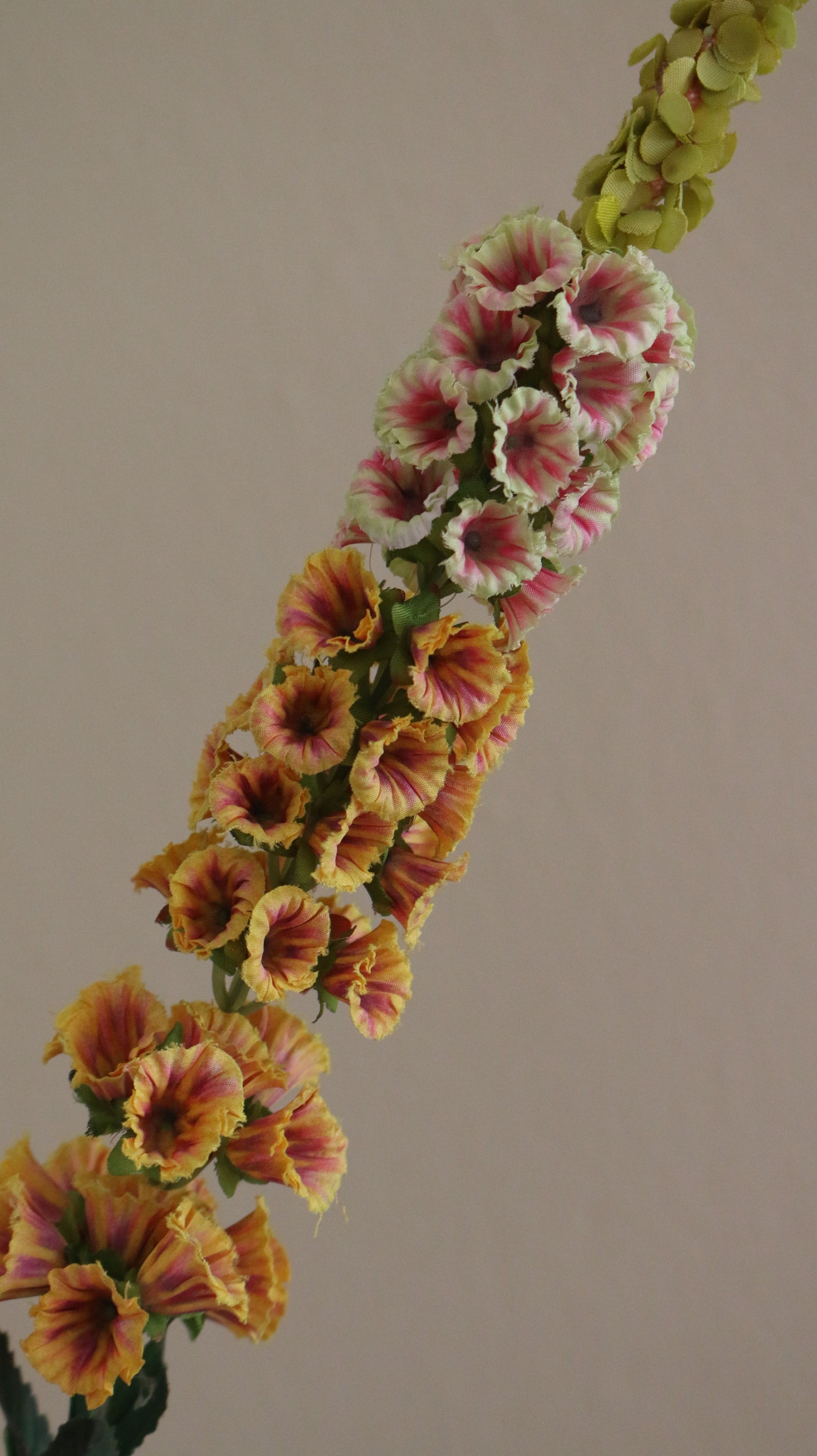 Foxtail