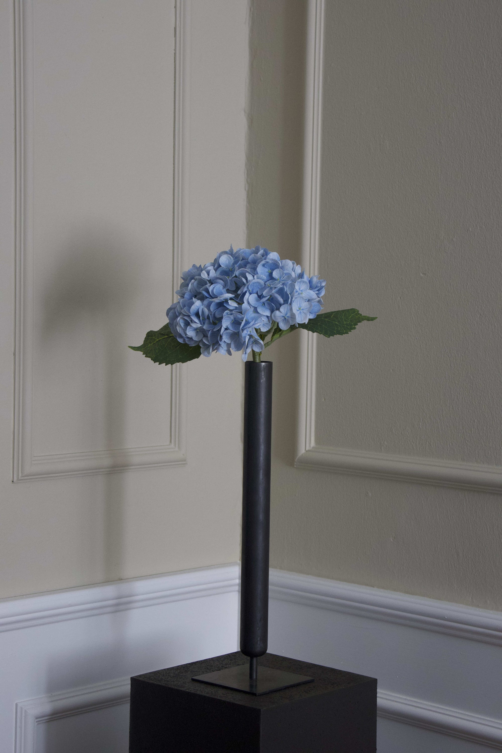 Hortensia