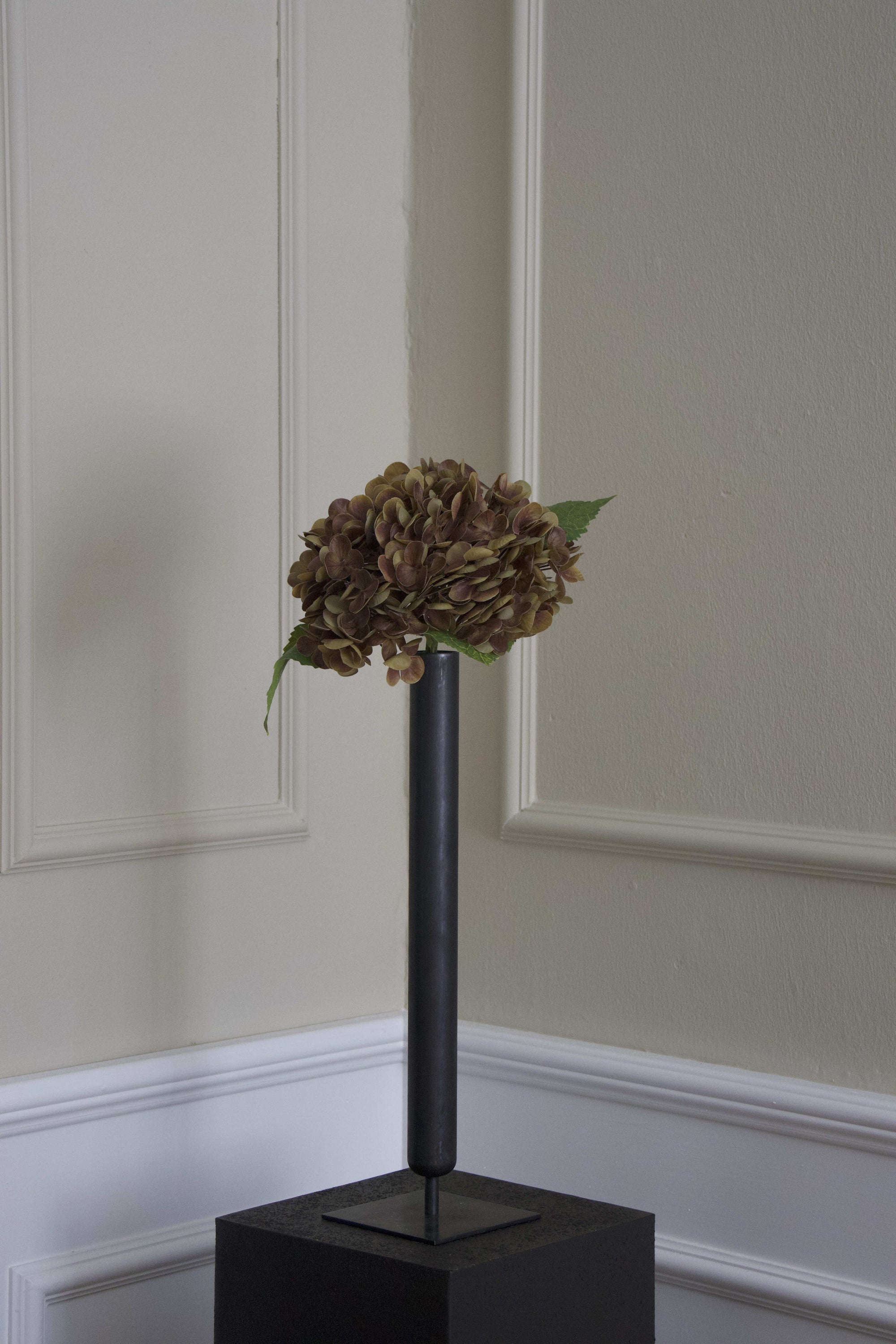 Hortensia