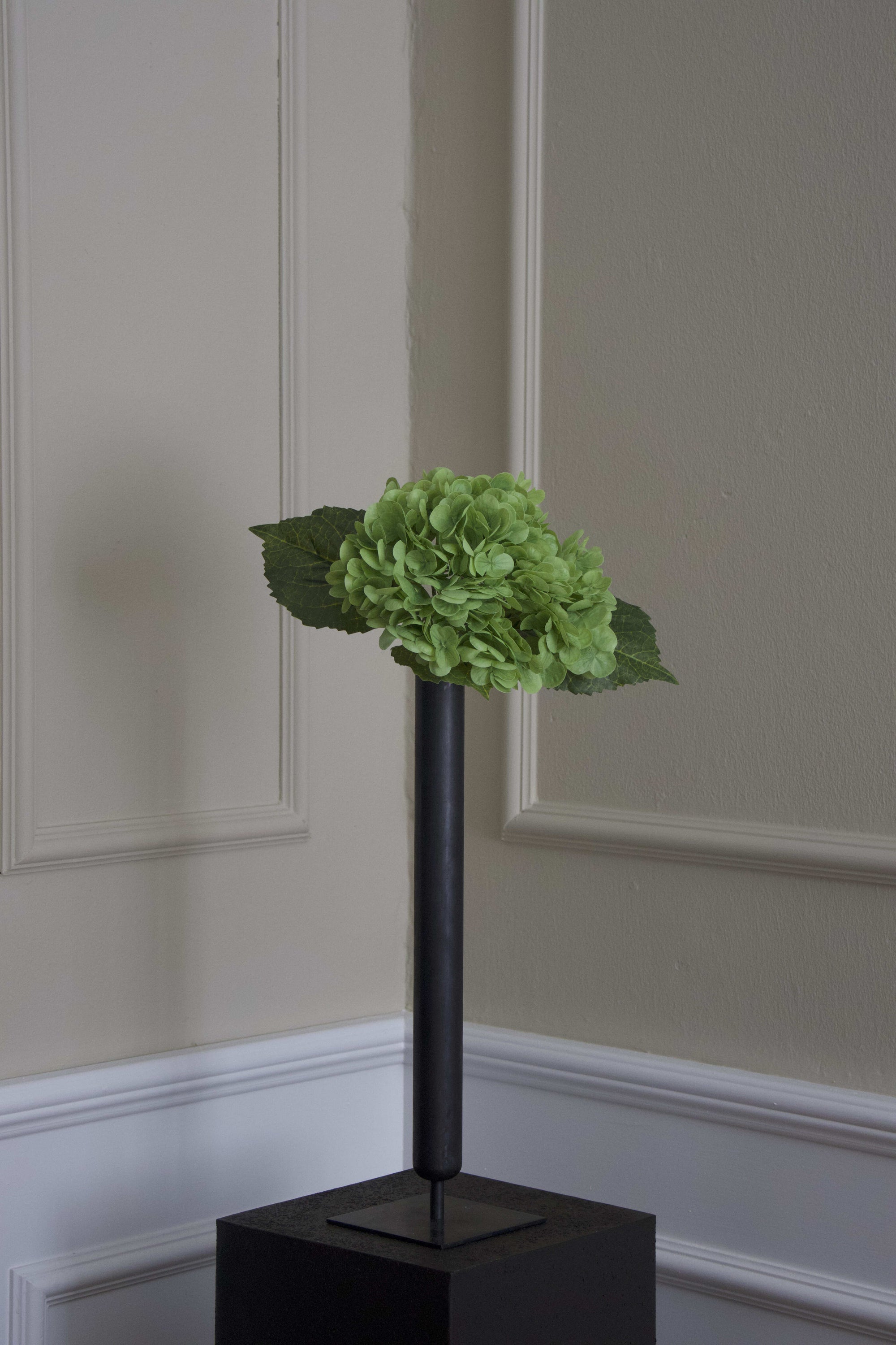 Hortensia
