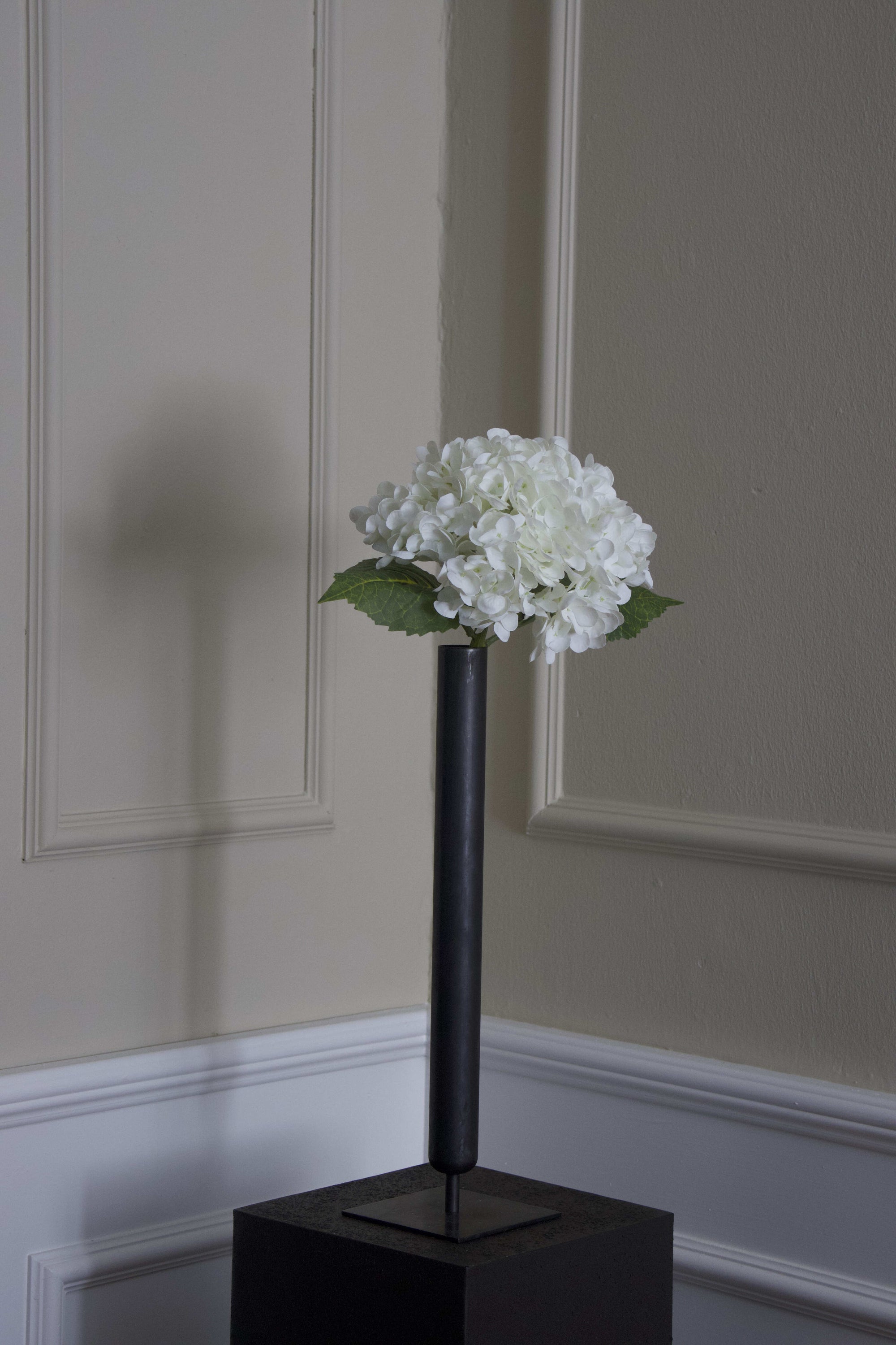 Hortensia