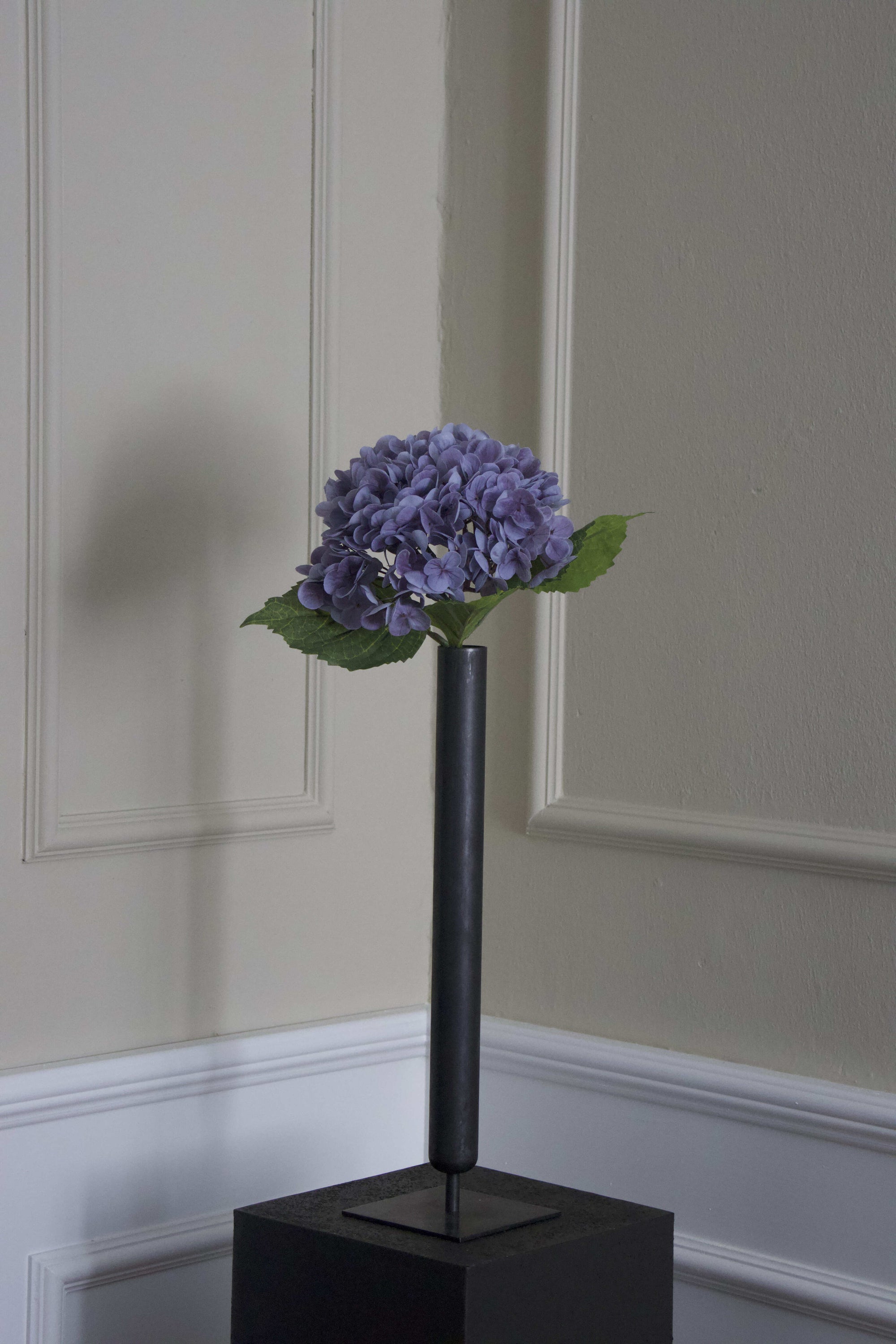 Hortensia