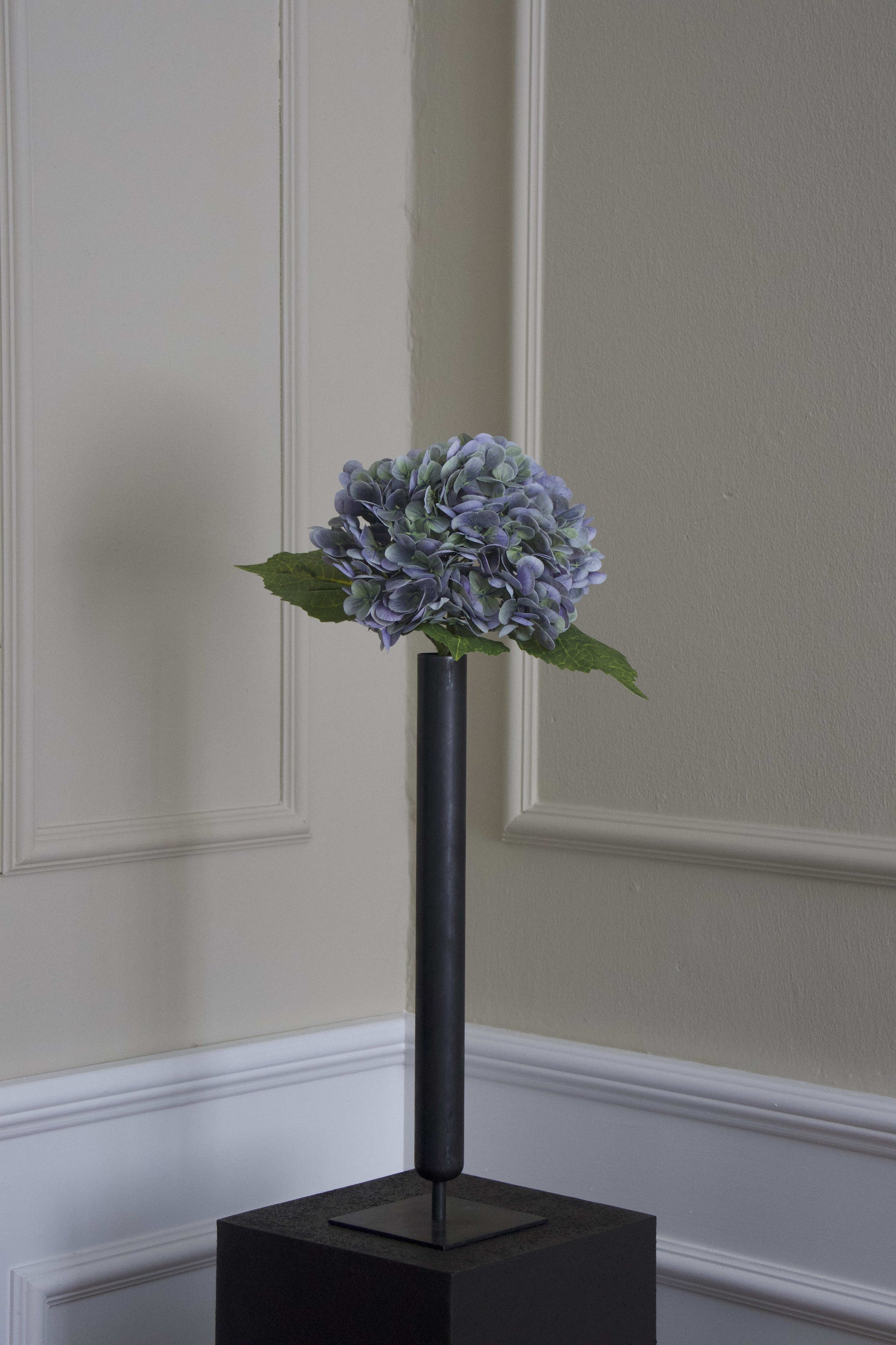Hortensia